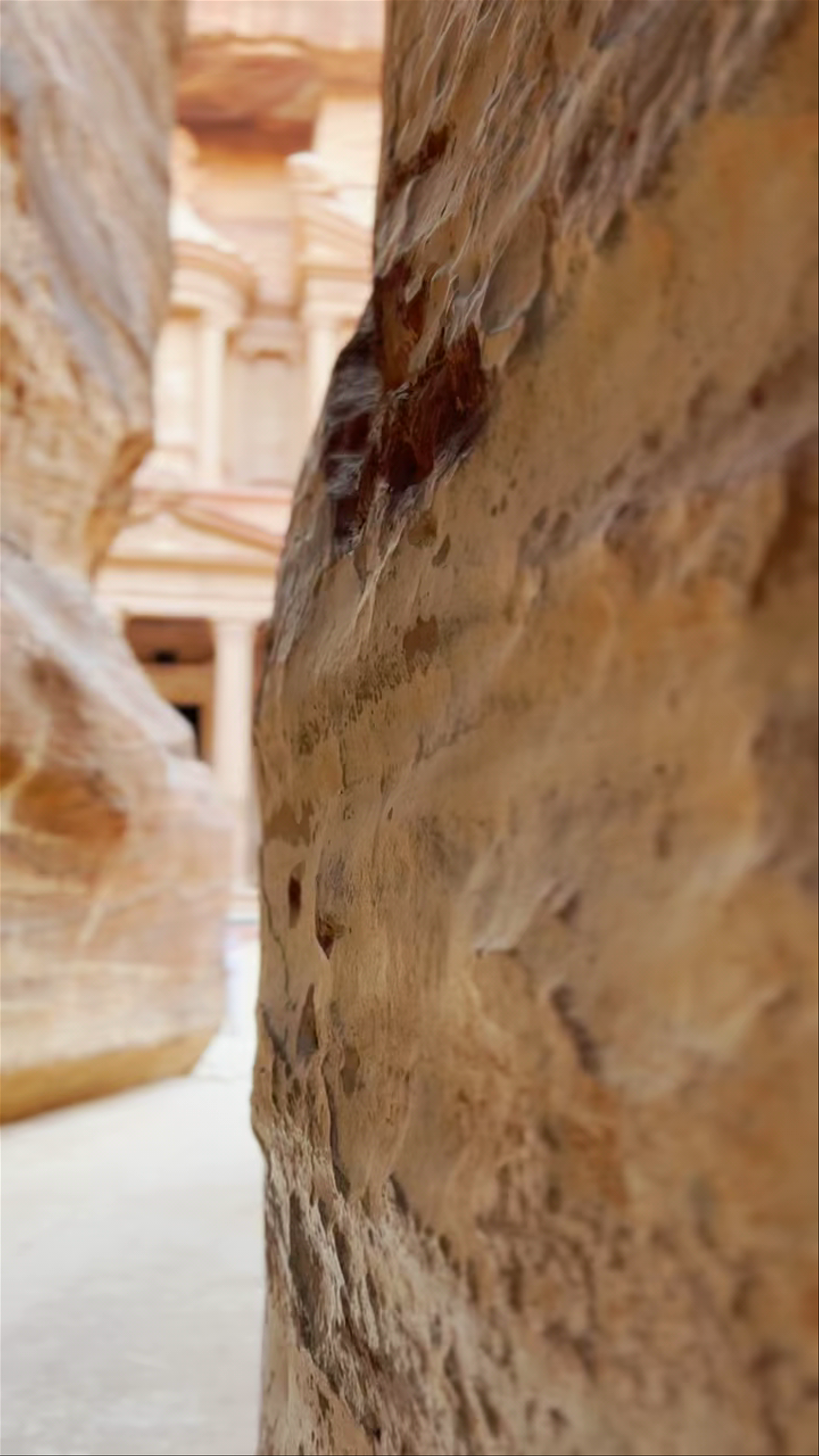 The Treasury at Petra: Ancient Wonder Revealed