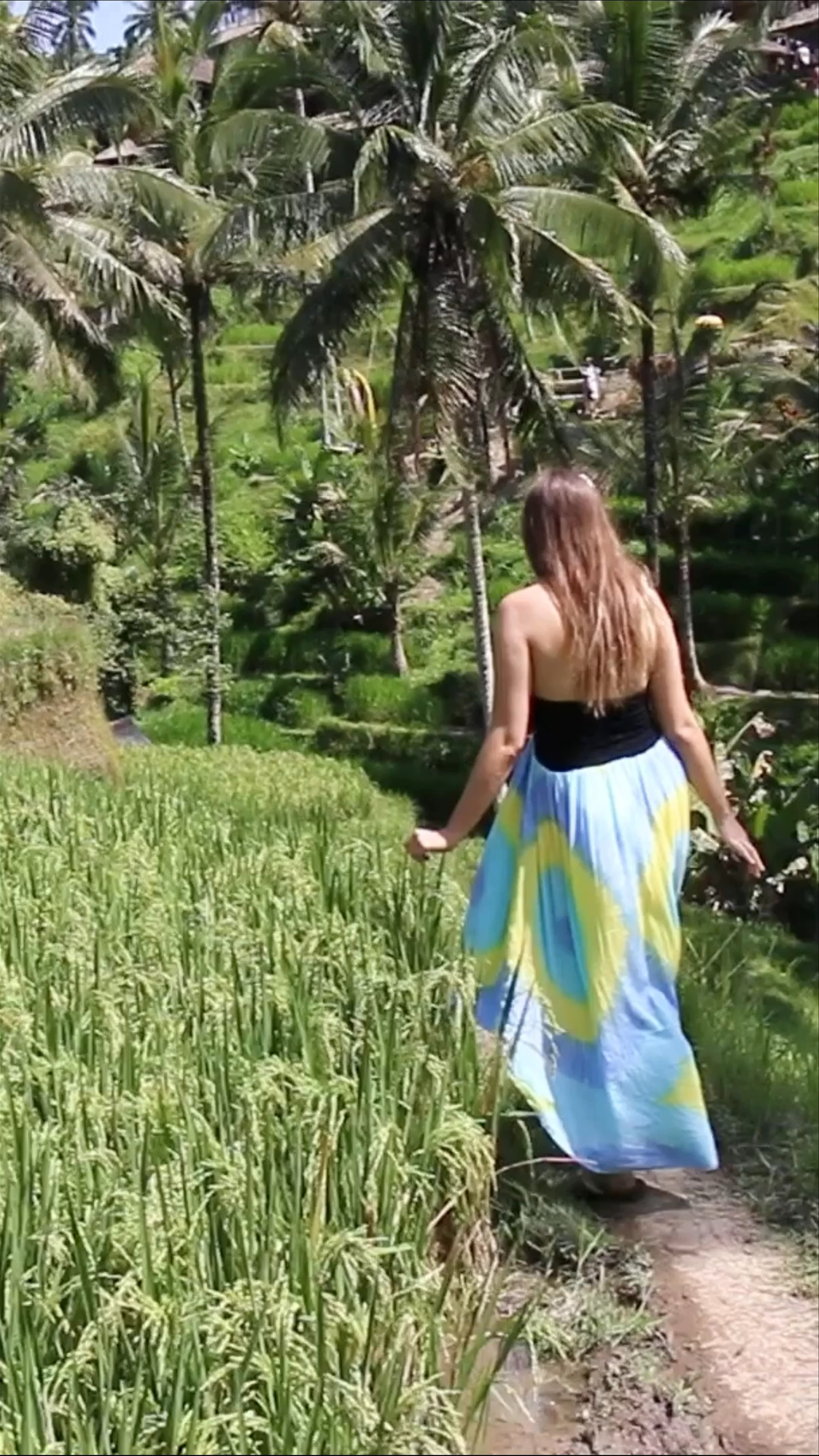 The Tegalalang Rice Terrace