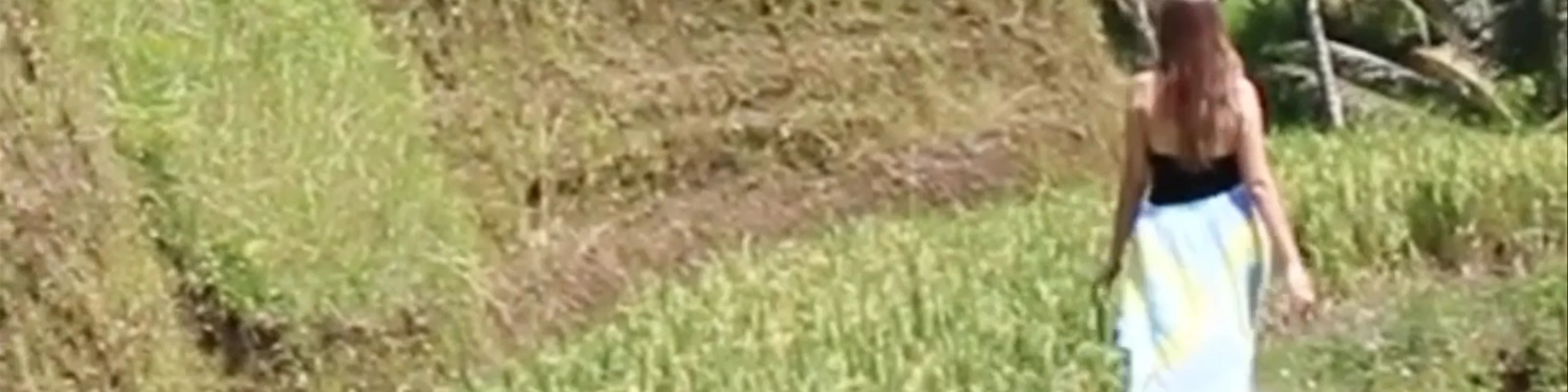 The Tegalalang Rice Terrace