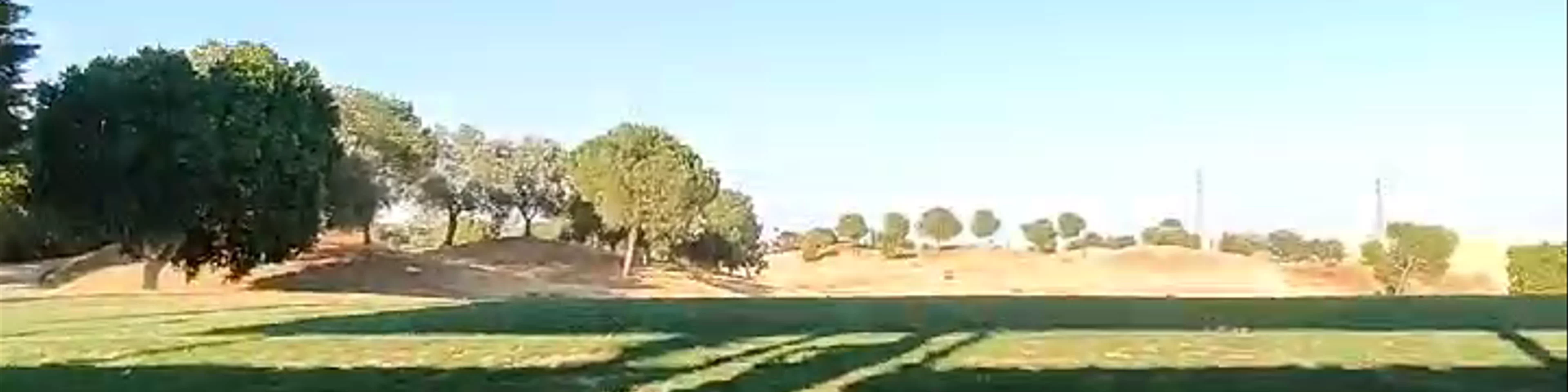 Real Club Sevilla Golf