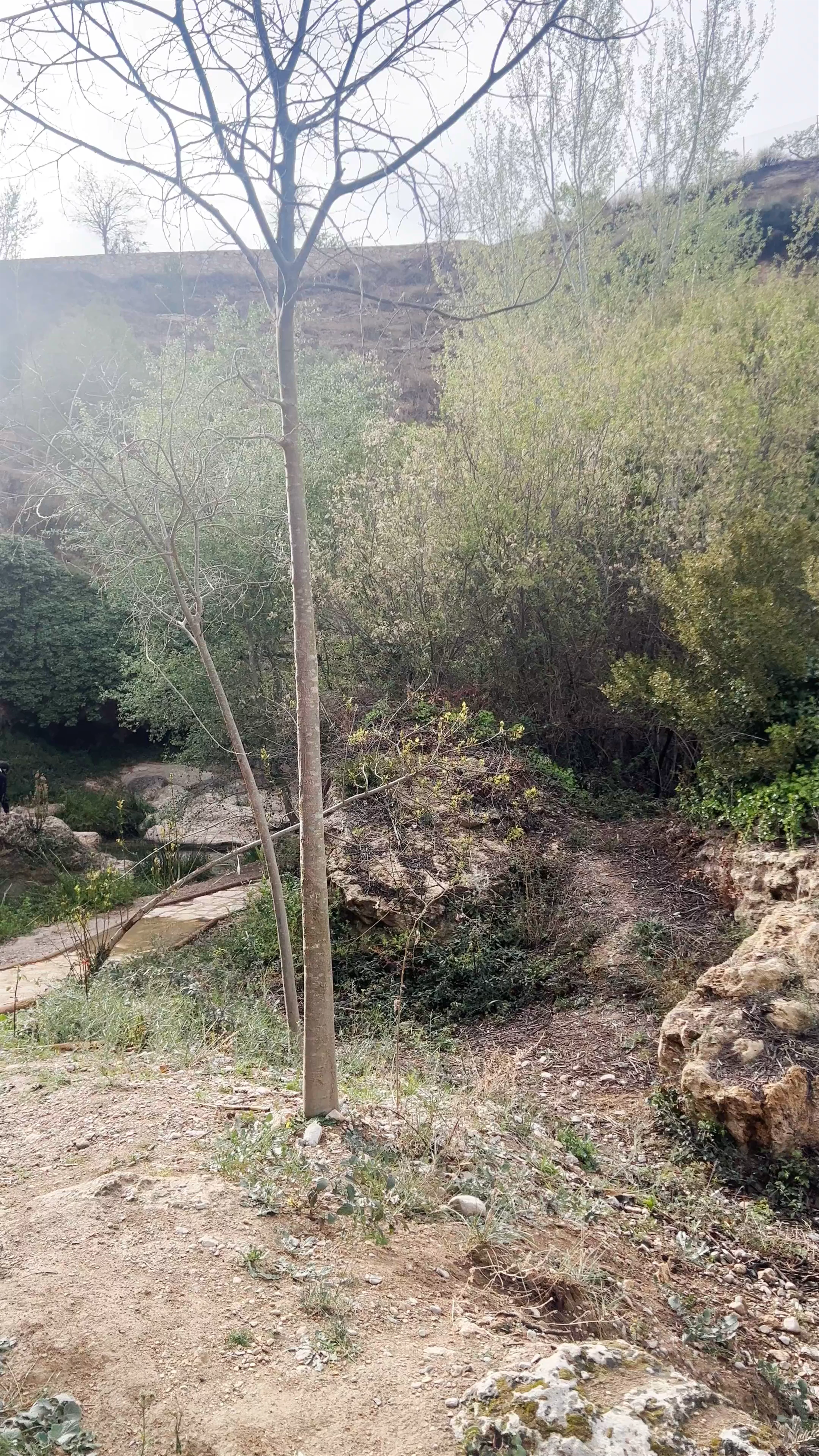 Pasico Ucenda, Diseminado Sendero Fuente Mula, Bullas, Spain
