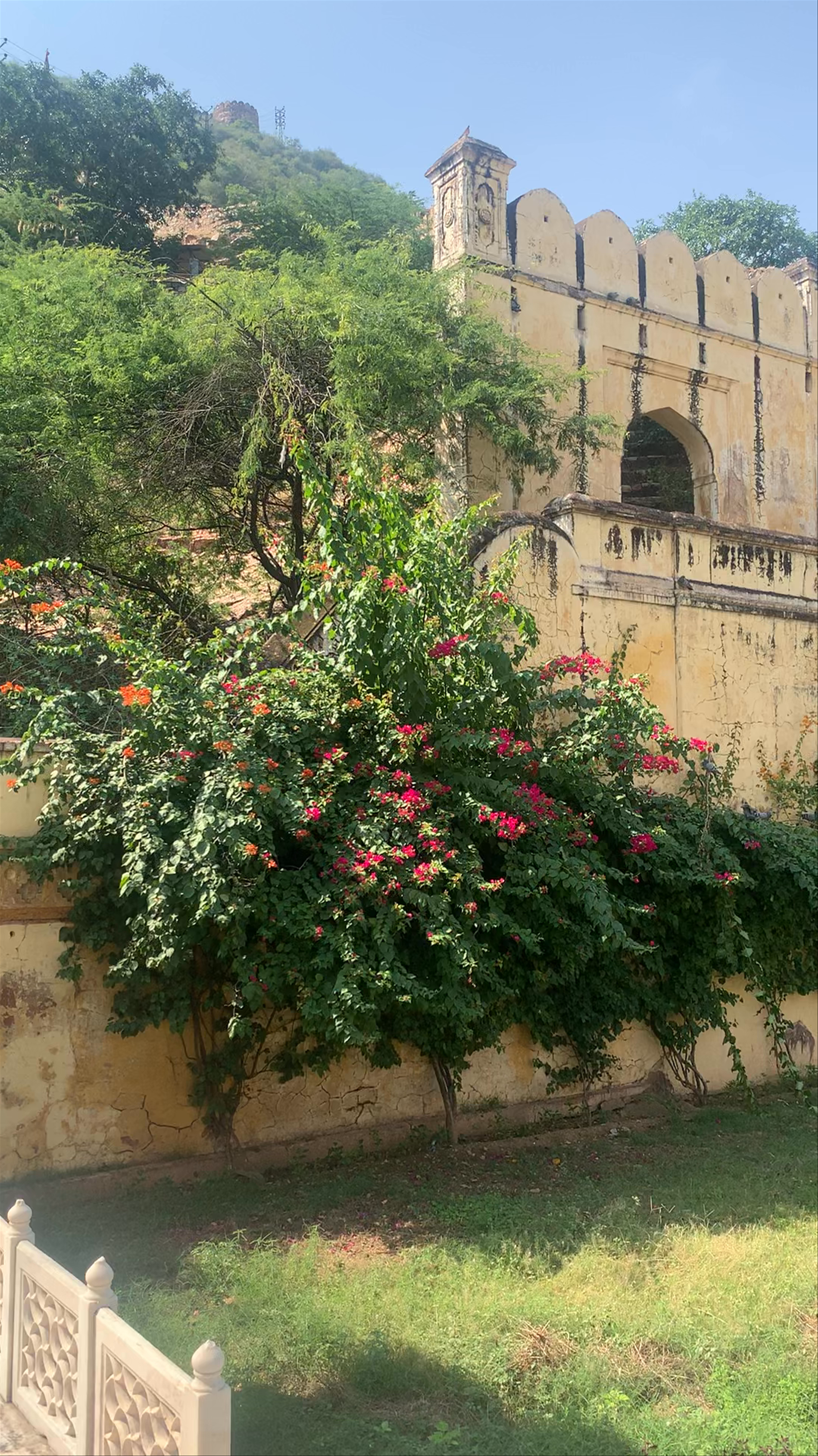 Gaitore Ki Chhatriyan