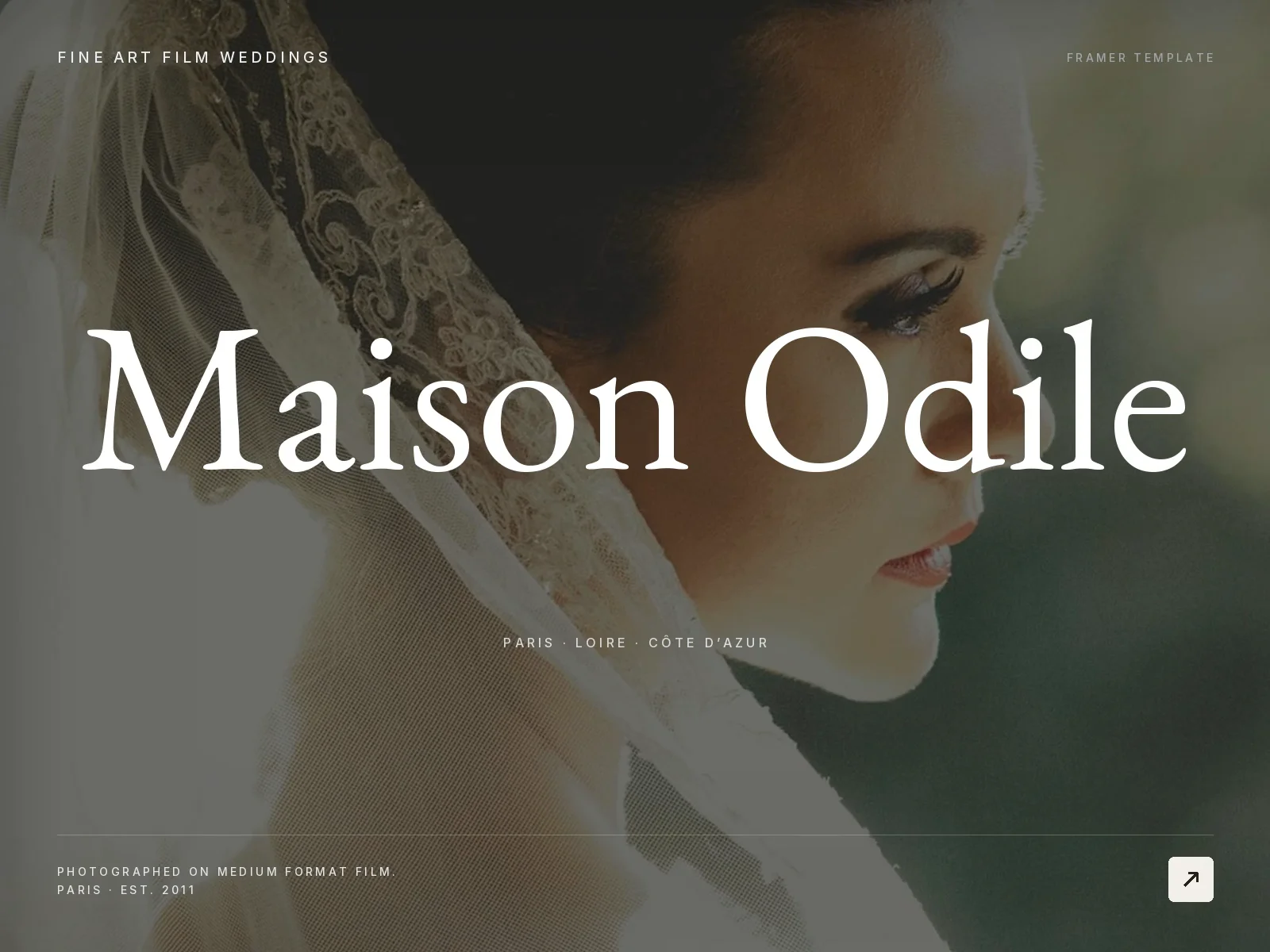 Fine Art Wedding