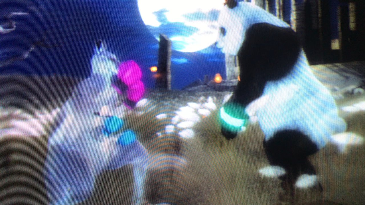 Video thumbnail 13 more videos