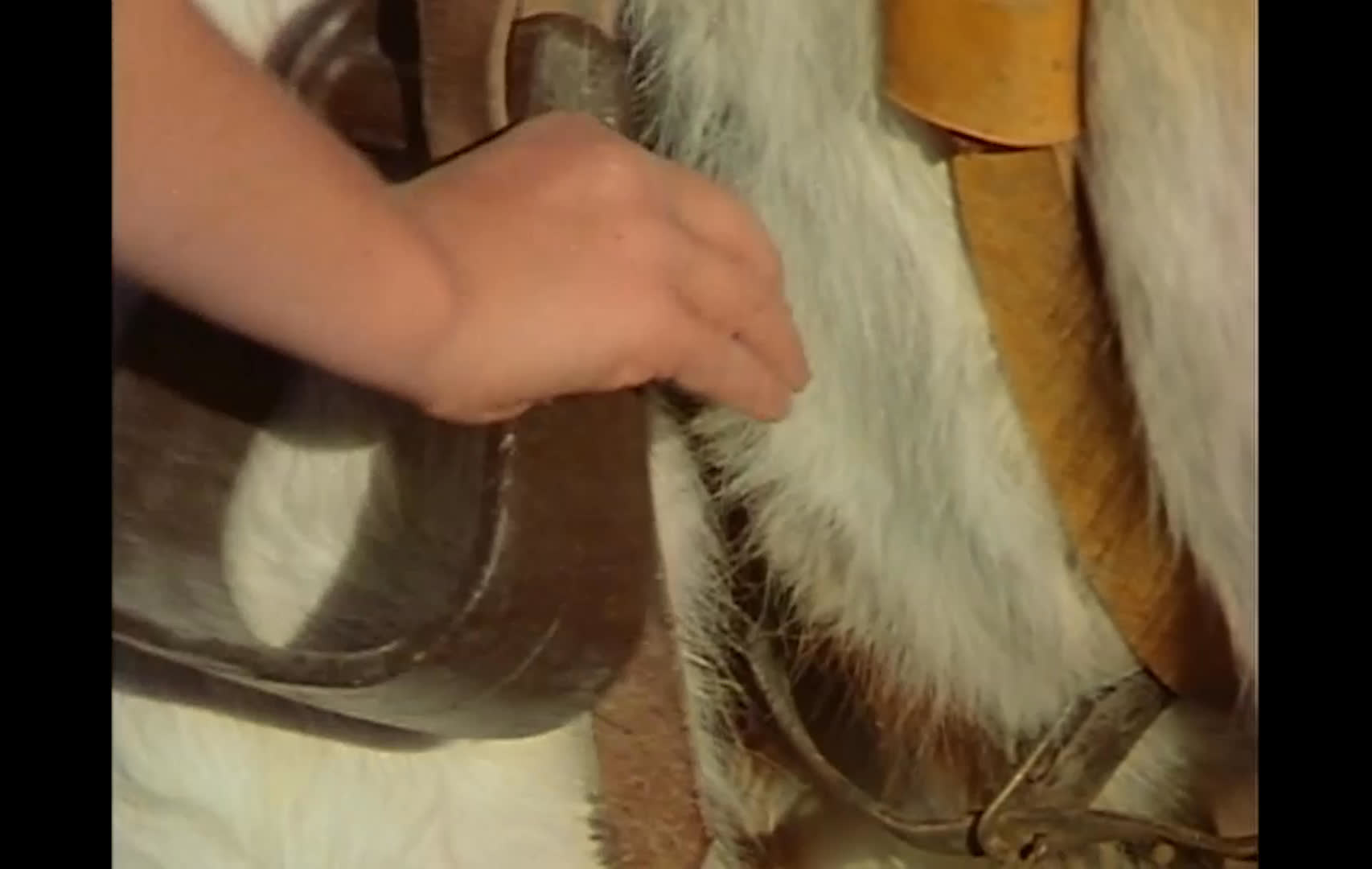 At a family ranch, a young rider prepares a paint horse and climbs into the saddle. She rides through the corral as a dog follows nearby, while a ranch hand walks across the yard with another dog.