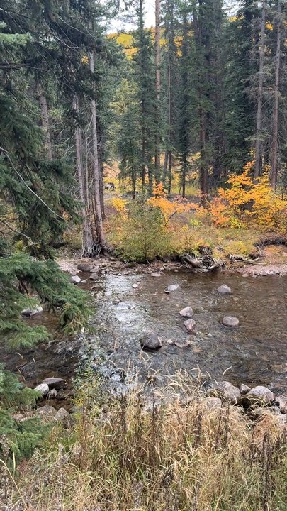 Lionshead Village - Shopping Centers Near Me - Vail, Colorado