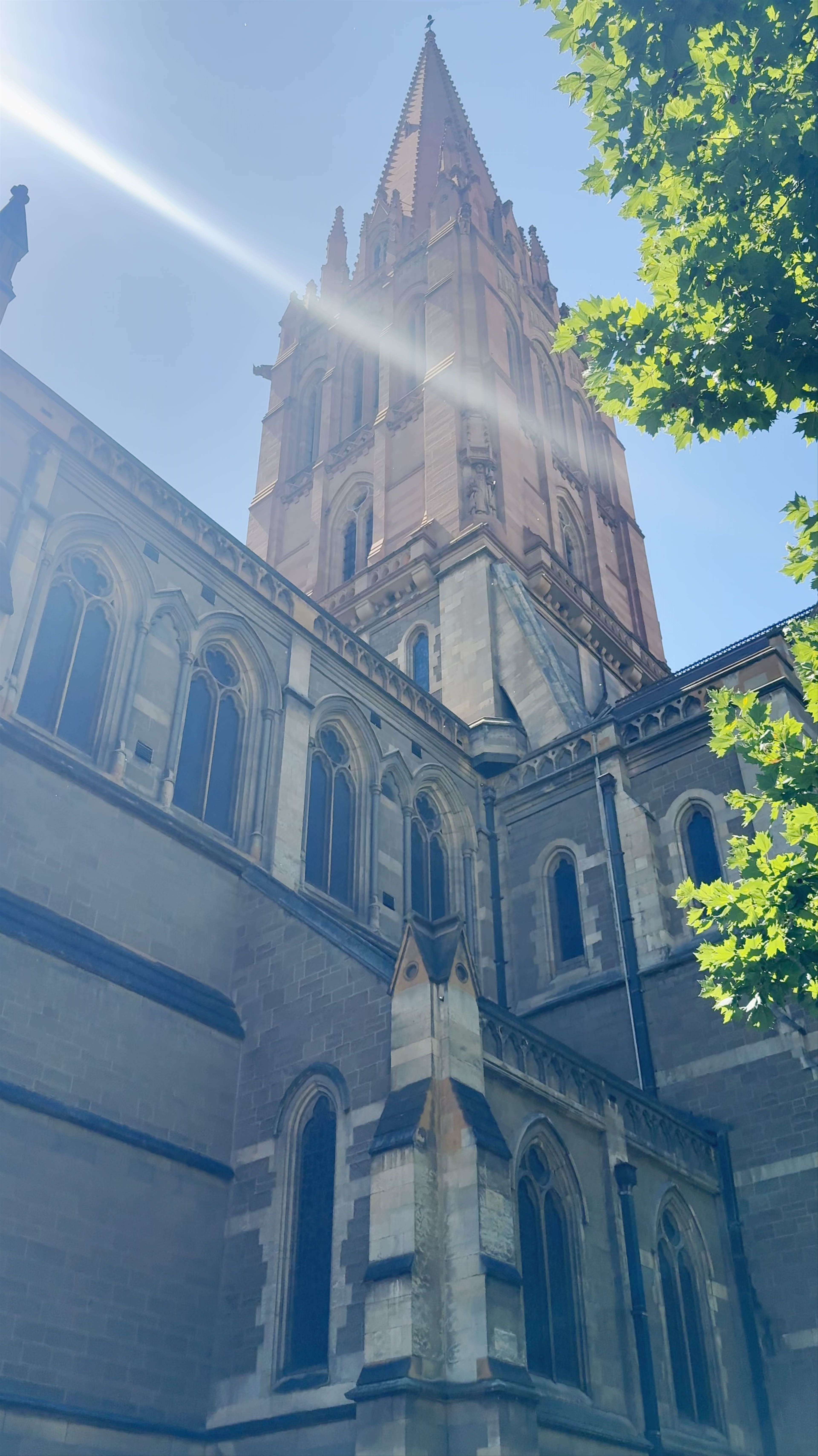 St Patrick's Cathedral: Melbourne's Gothic Majesty in Sunlit Splendor