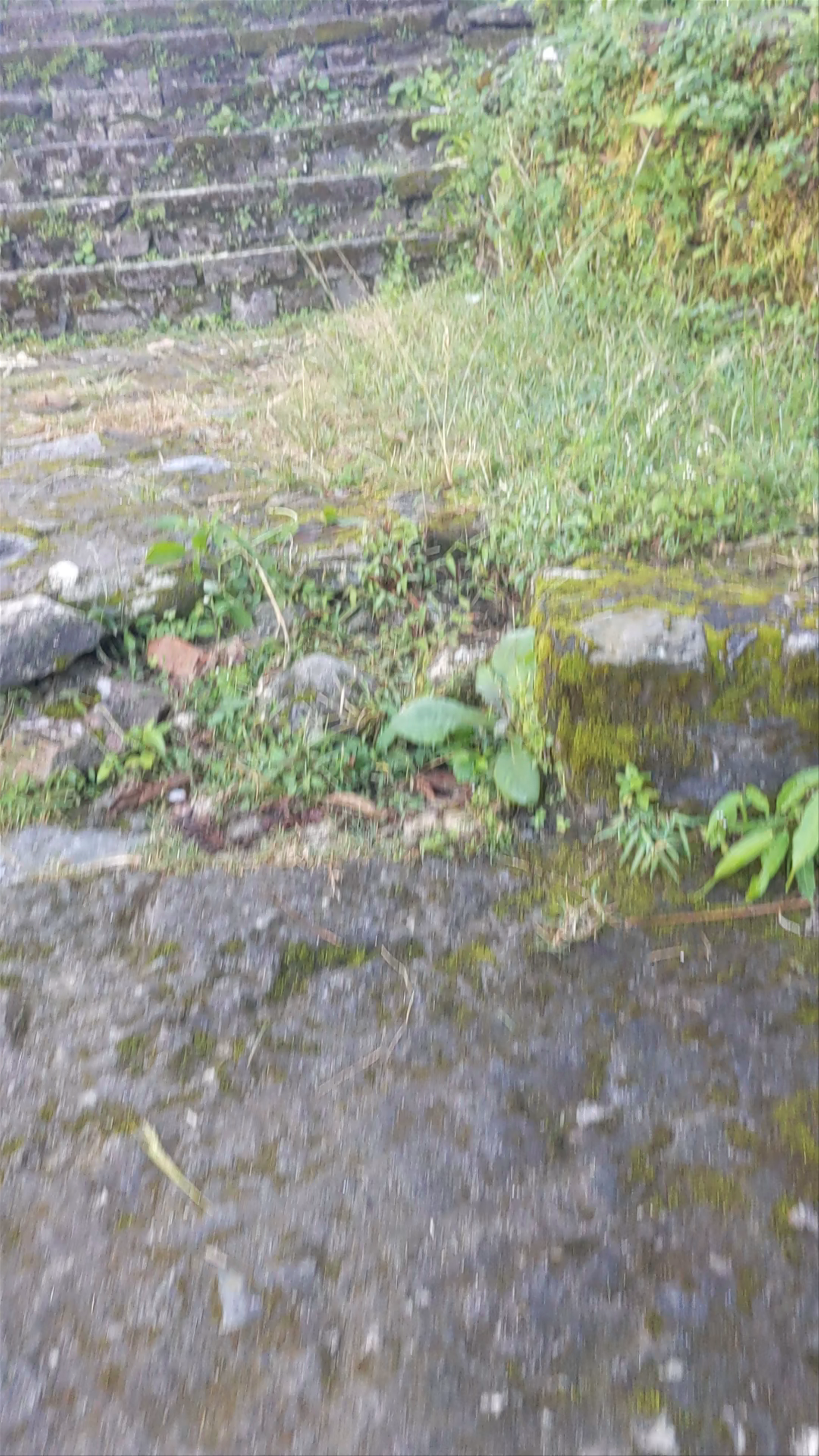 Bhalamchaur-Mirche Model Agriculture and Tourism project