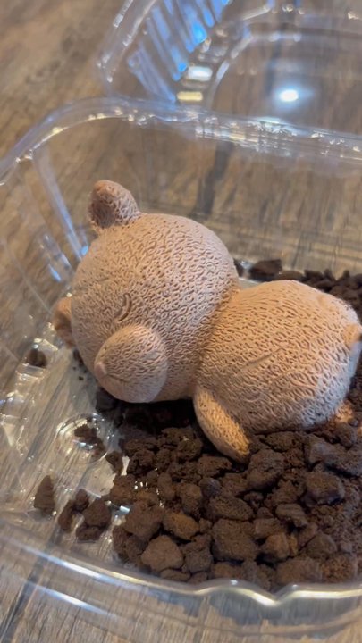 Seoul Drop - Chocolate Bear Cheesecake - Korean Near Me - Rochester, New York