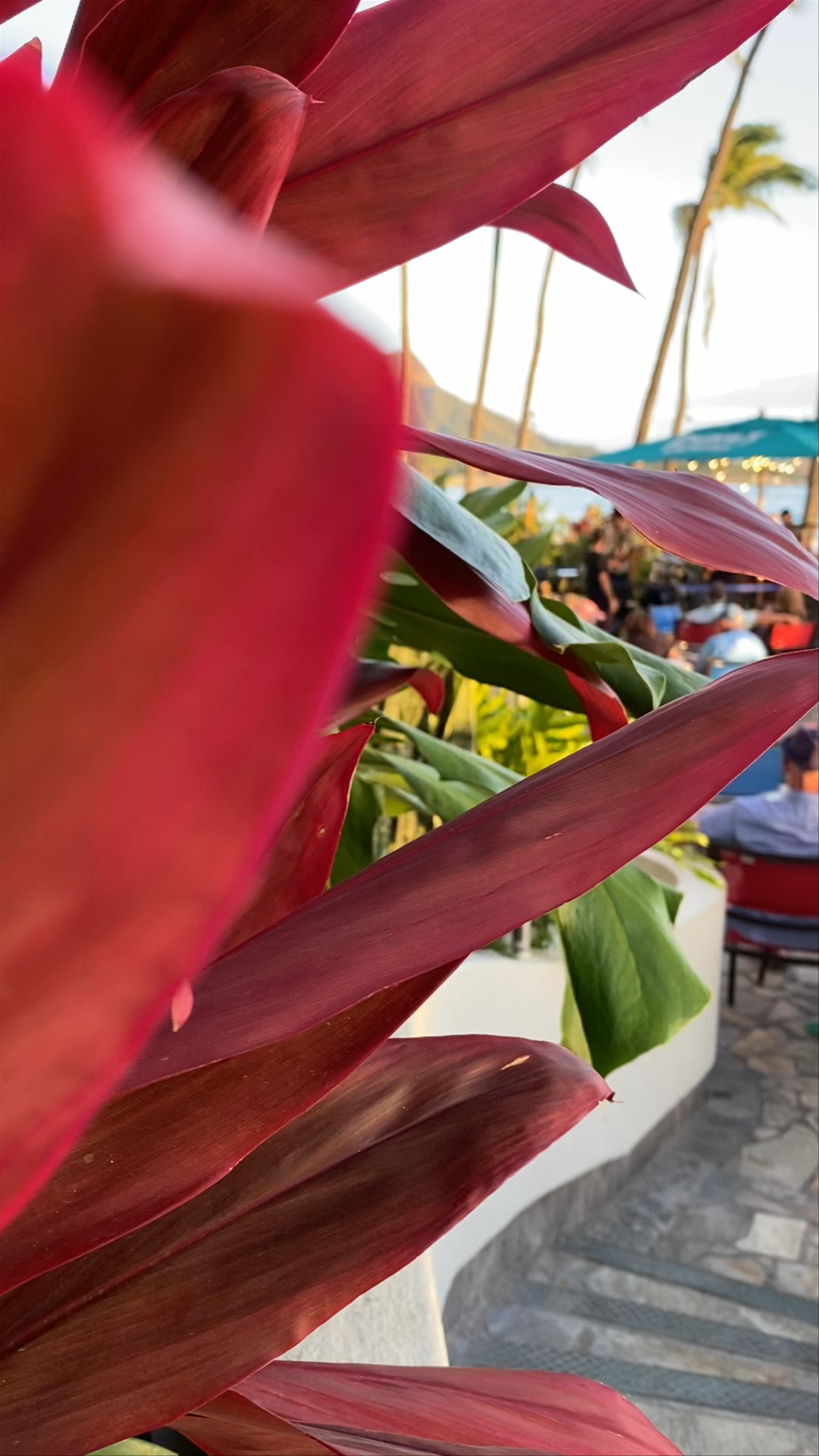 Duke's Waikiki: Sunset Vibes by the Beach in Honolulu