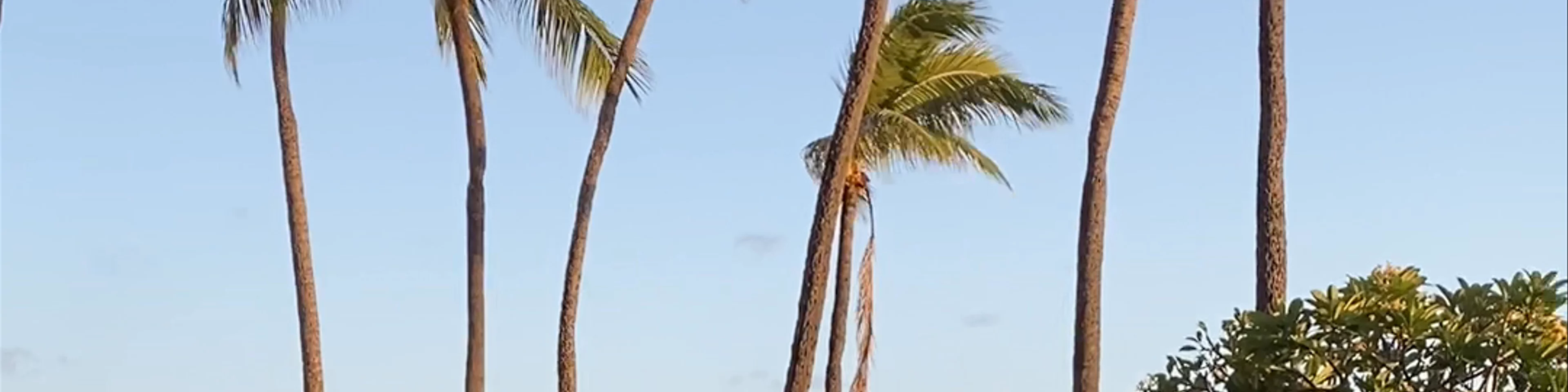 Duke's Waikiki