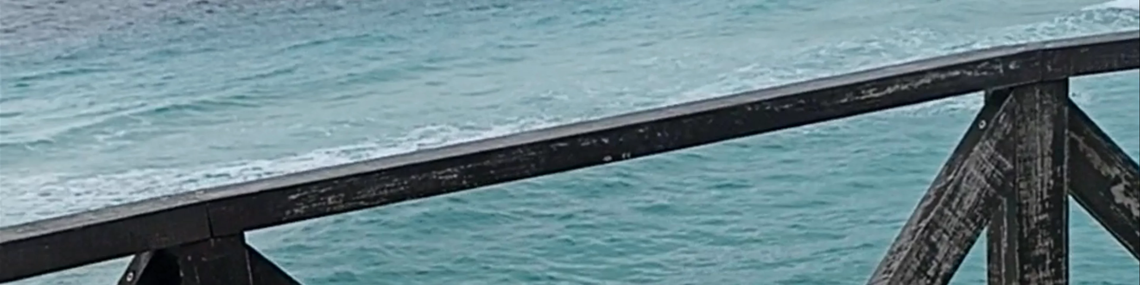 Punta Sur