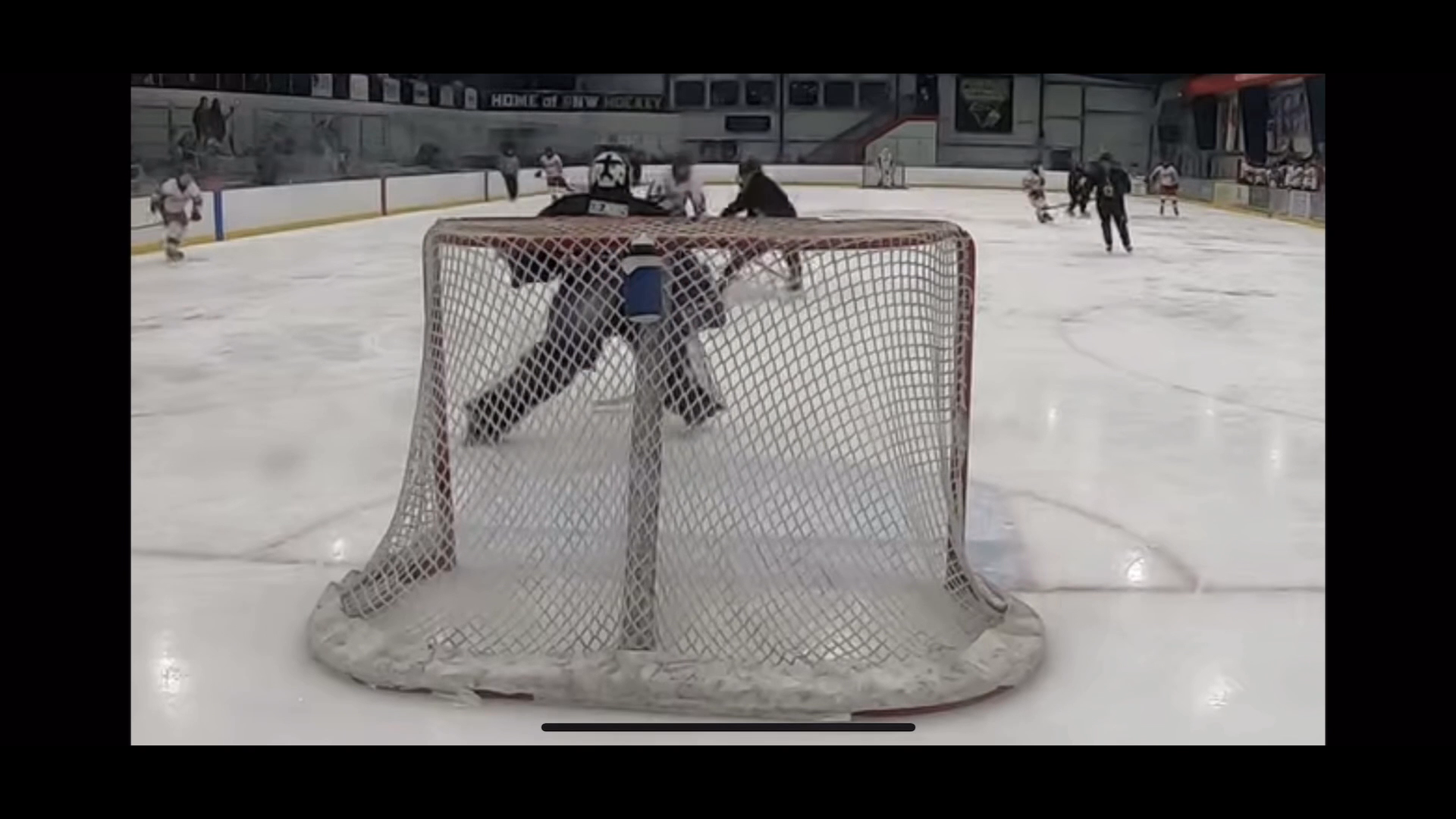 Grant LittleHighlights: Lakeshore-St. Joseph