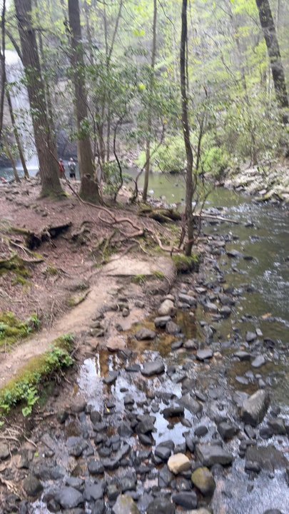 Foster Falls Small Wild Area - Hiking Near Me - Sequatchie, Tennessee