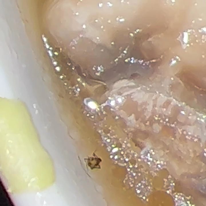 Jade China - Free cockroaches floating in my wanton soup and the lady said it's not cockroaches it's a "Mushroom" - Chinese Near Me - Murrieta, California