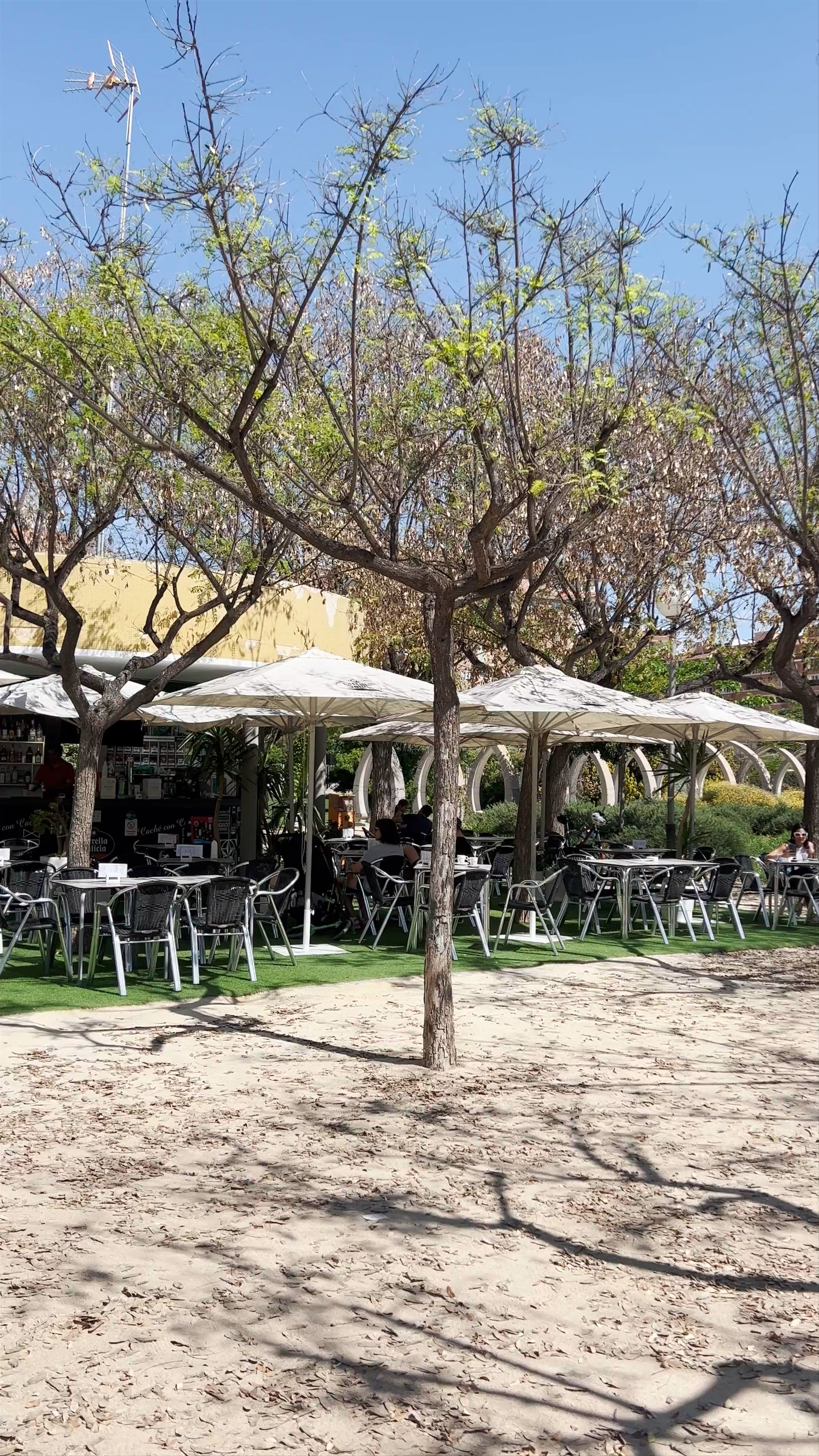 Sunlit Serenity at Kiosco Lo Torrent, Alicante
