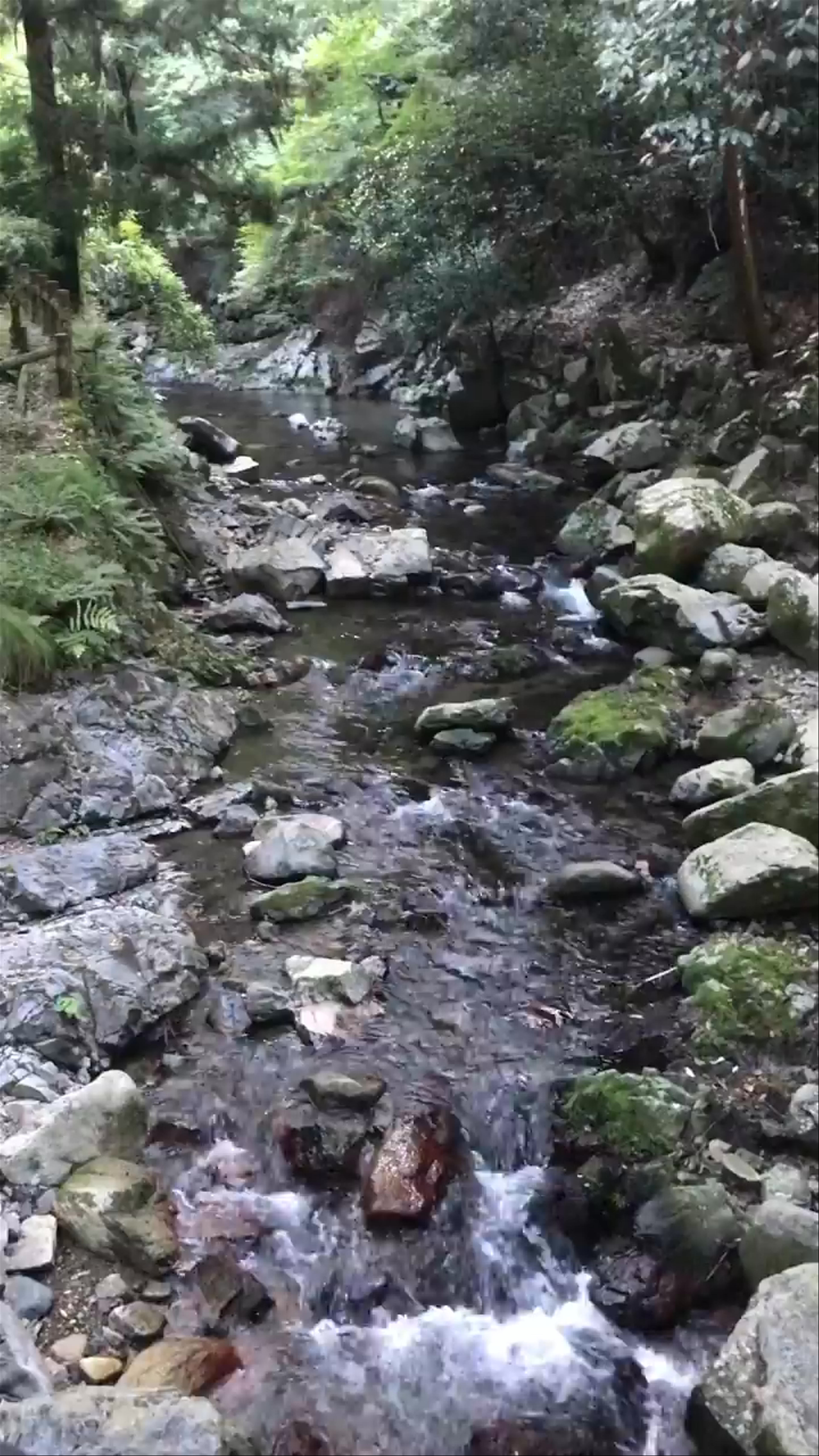 Minoh Falls: Serenity Amidst Nature in Osaka