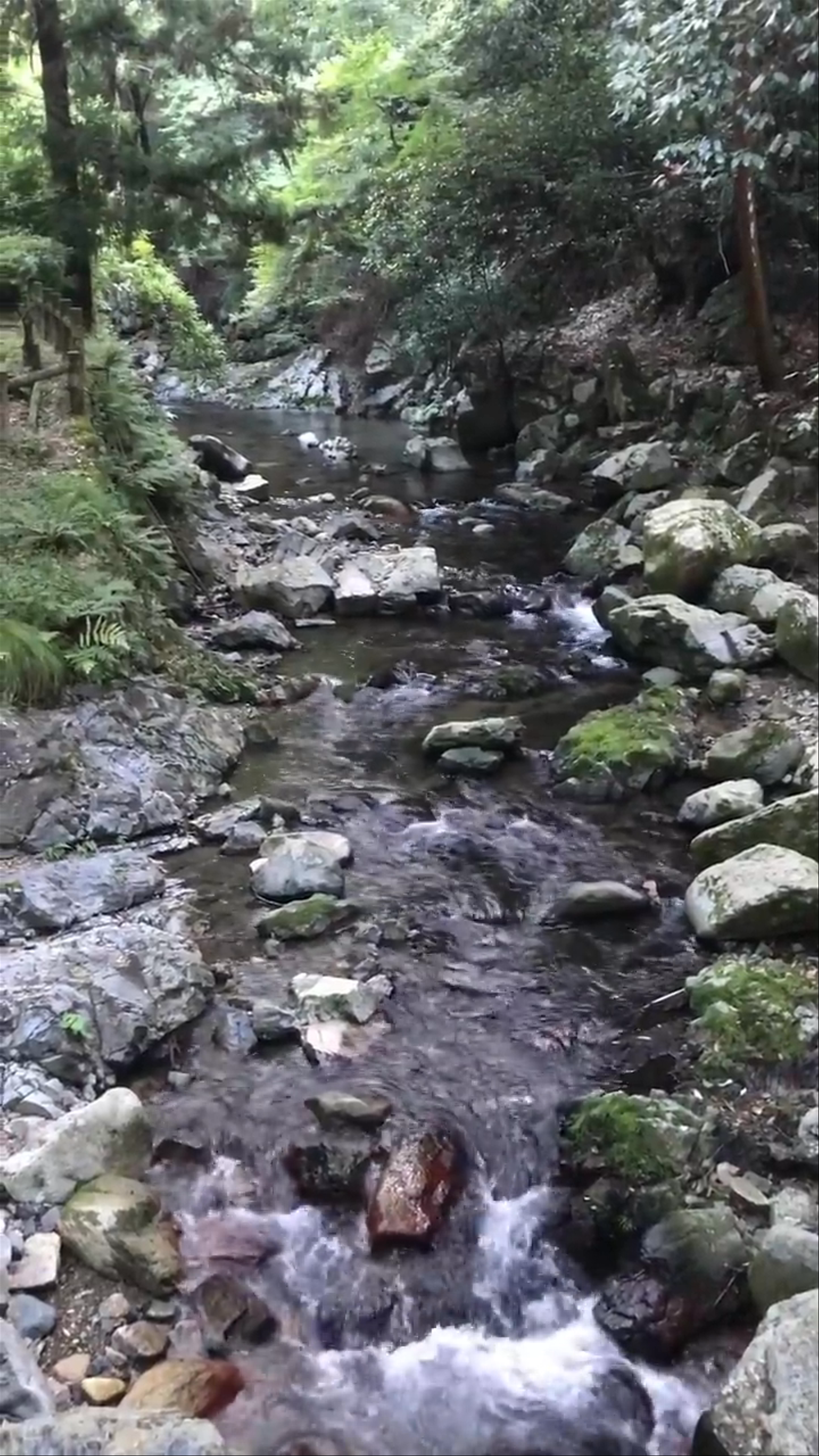 Minoh Falls