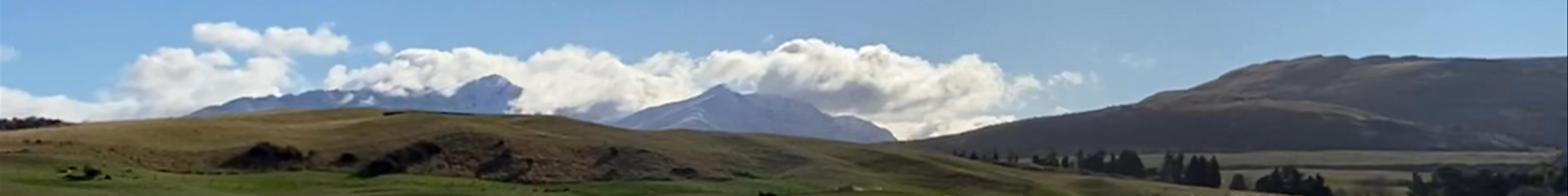 Tours & experiences in Otago