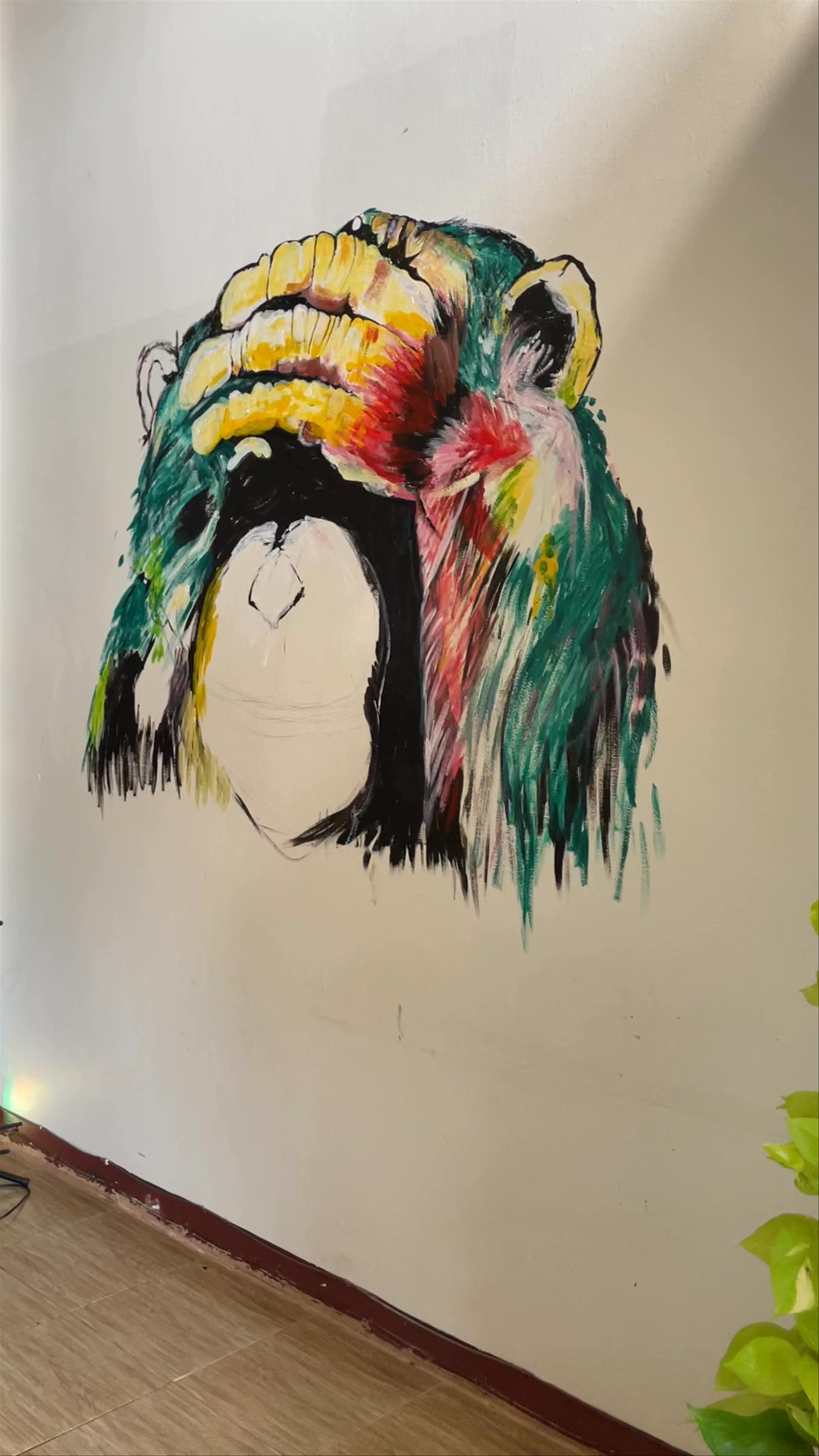 Funky Monkey Guesthouse & Tours