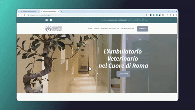 video esperienza navigazione sito ambulatorio veterinario castel sant