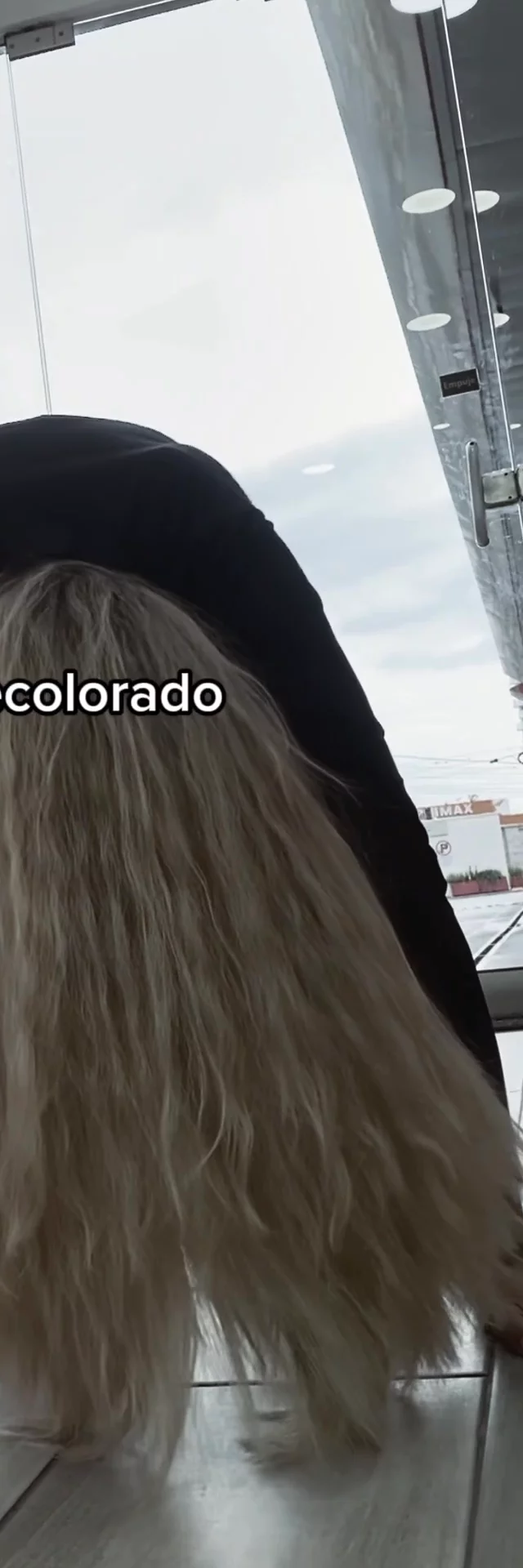 Contenido del creador