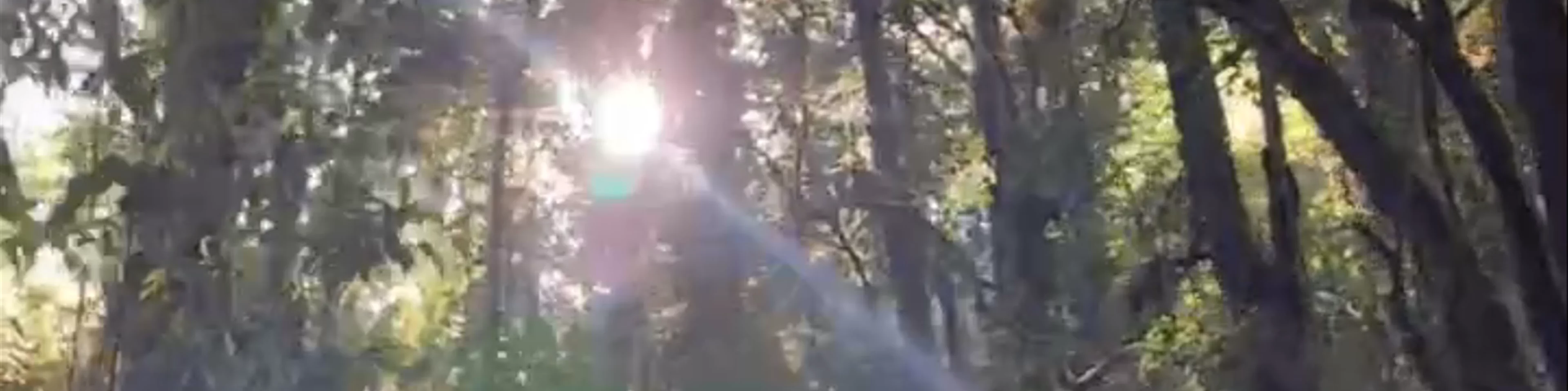 Ang Ka Nature Trail