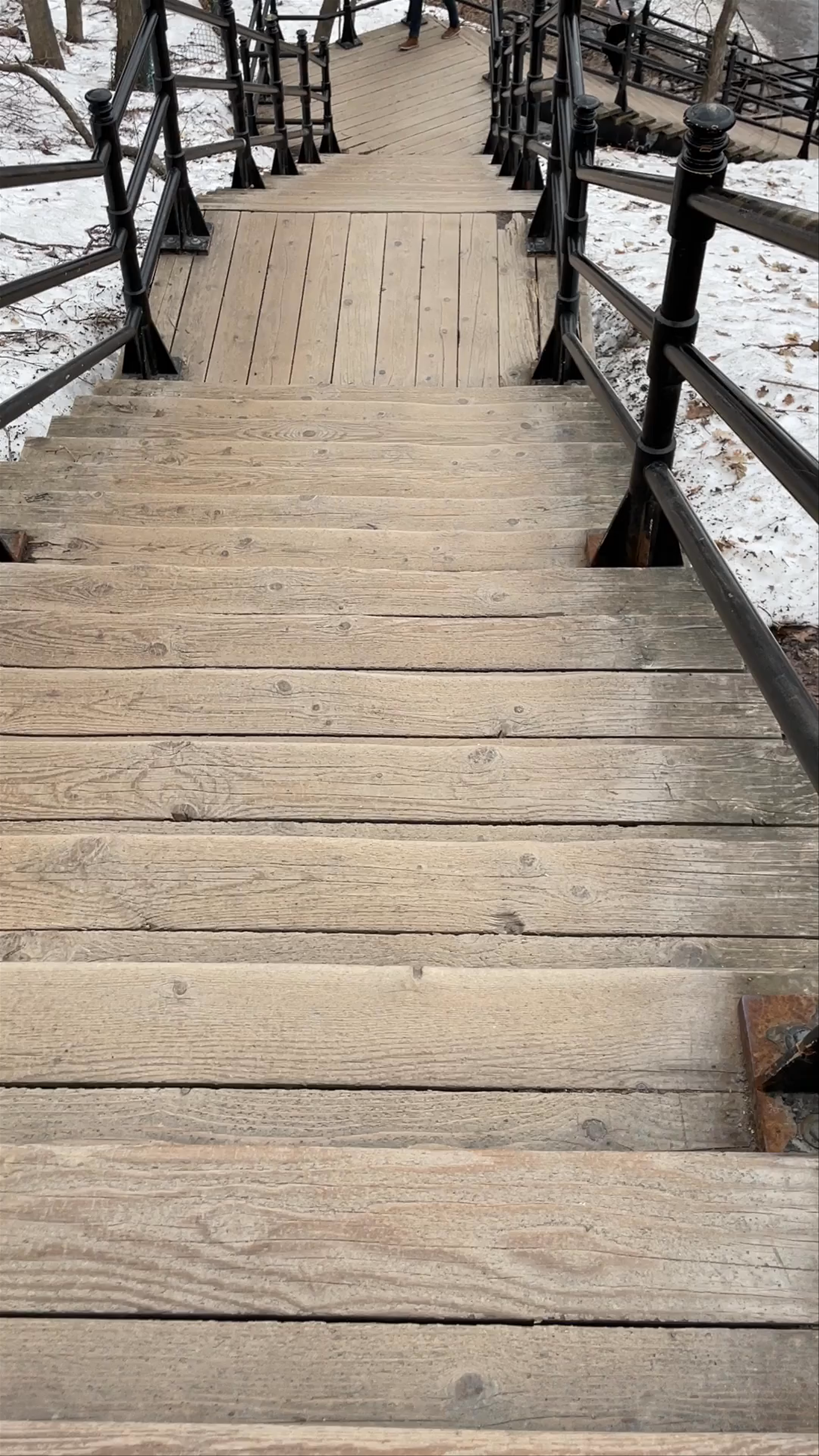 Grand Staircase of Mount Royal: A Winter Walk in Montréal