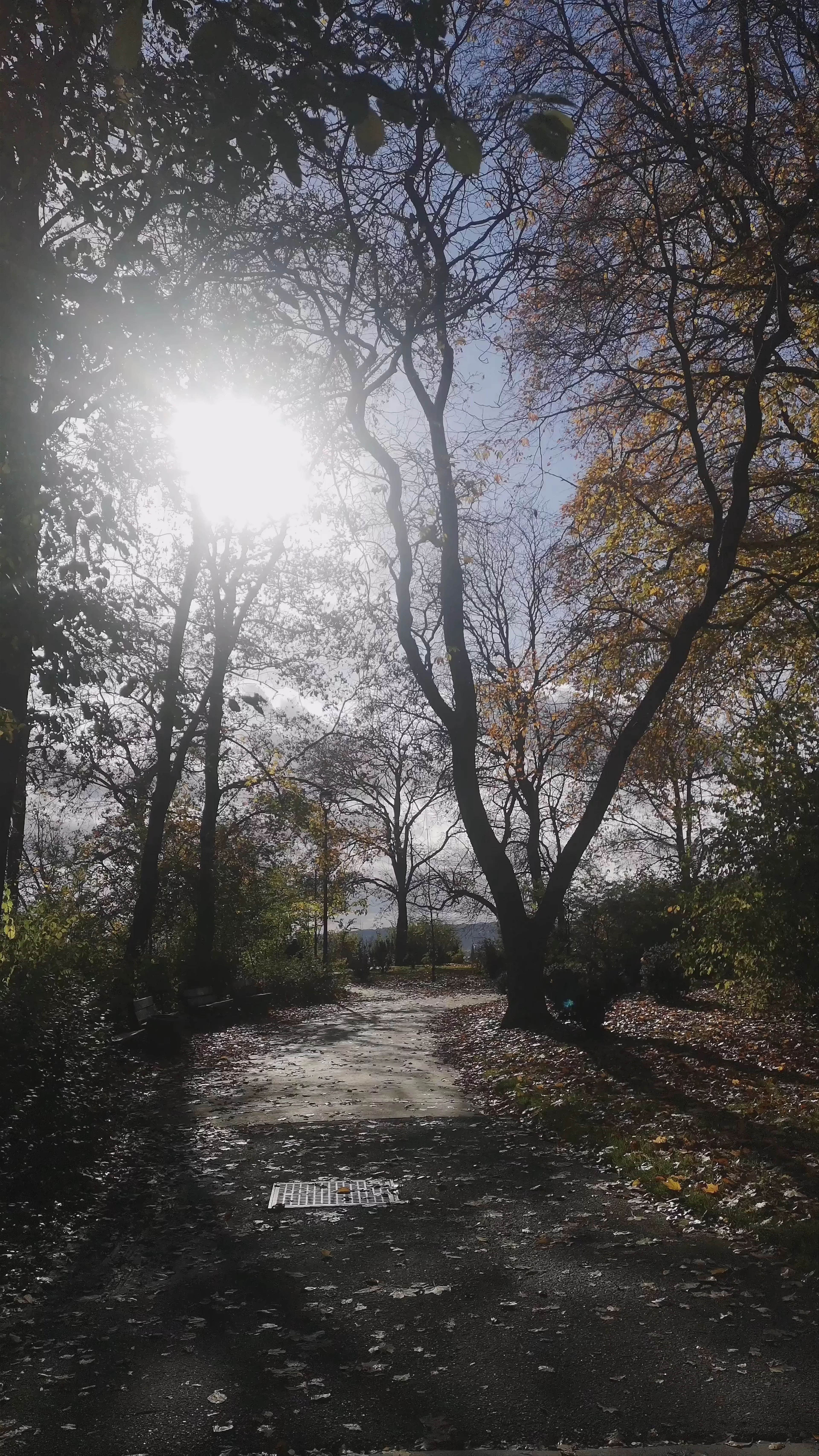 Letna Park