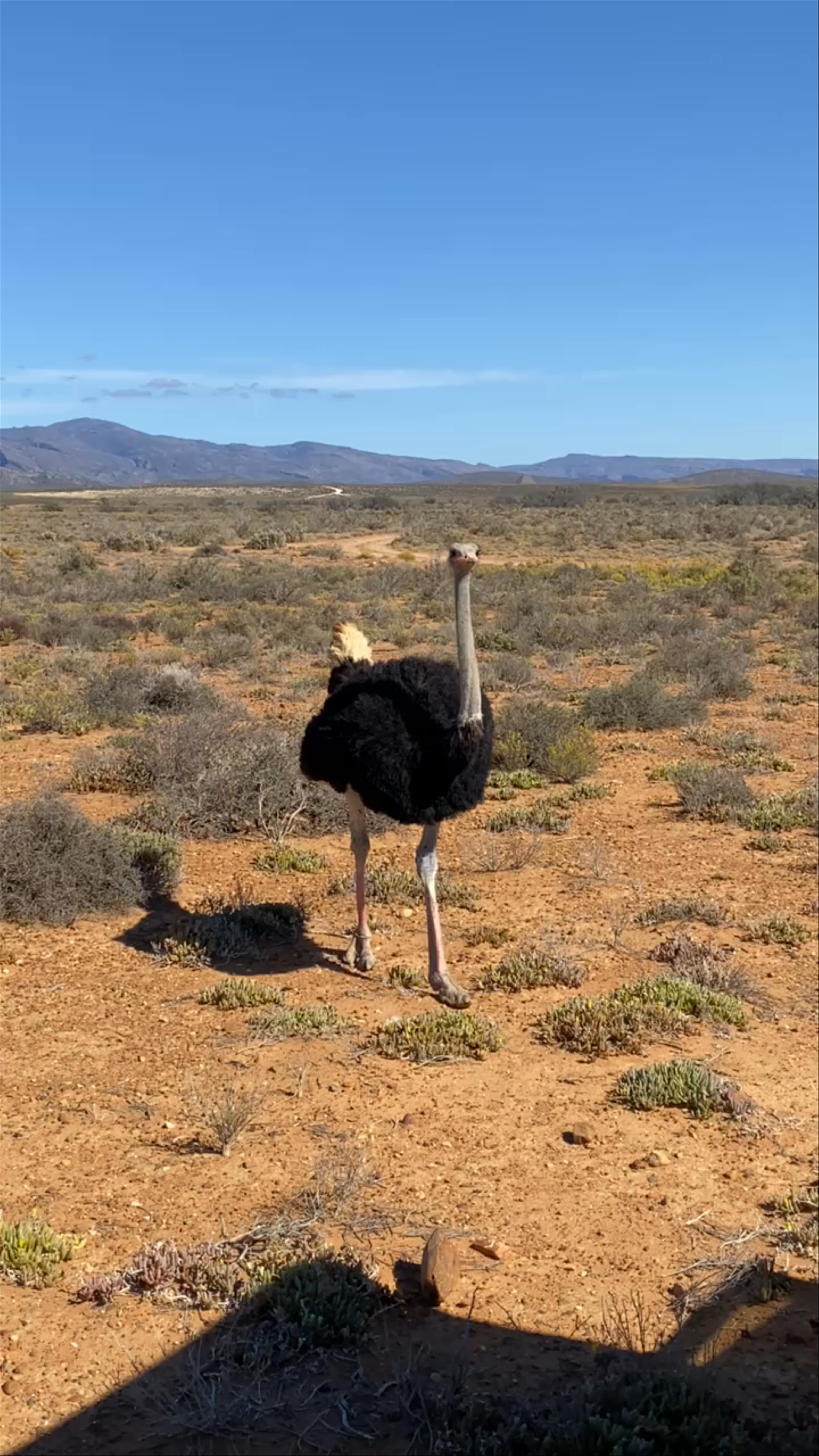 Inverdoorn Game Reserve