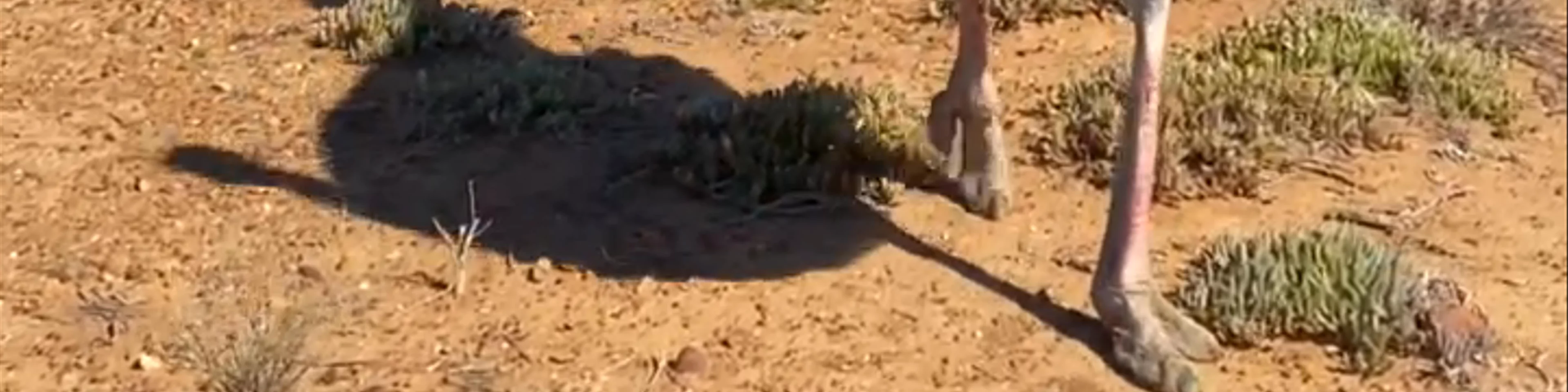Inverdoorn Game Reserve