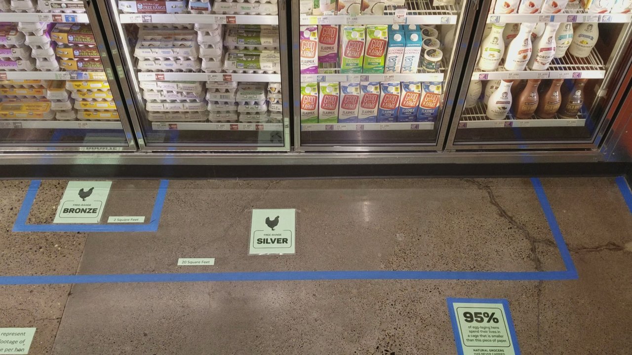 Natural Grocers - This is a replication of different living spaces for chickens...  Thnx for helping me to make a more informed and humane decision. - Grocery Near Me - Beaverton, Oregon