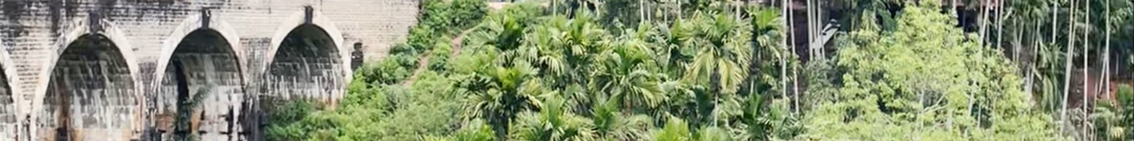 Tours & experiences in Badulla