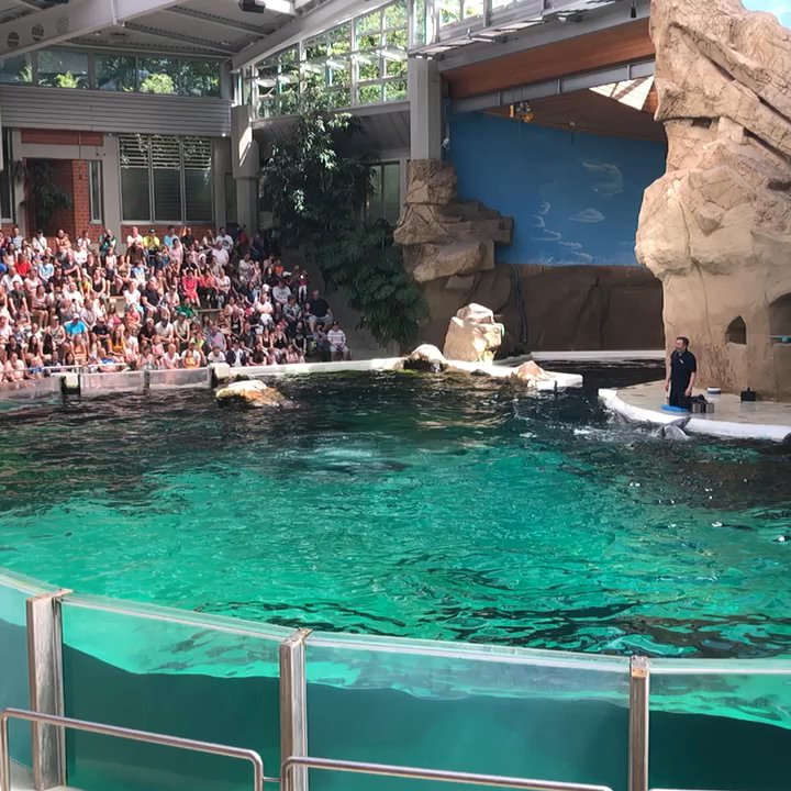 Zoo Delfinarium - Aquariums Near Me - Duisburg, NW