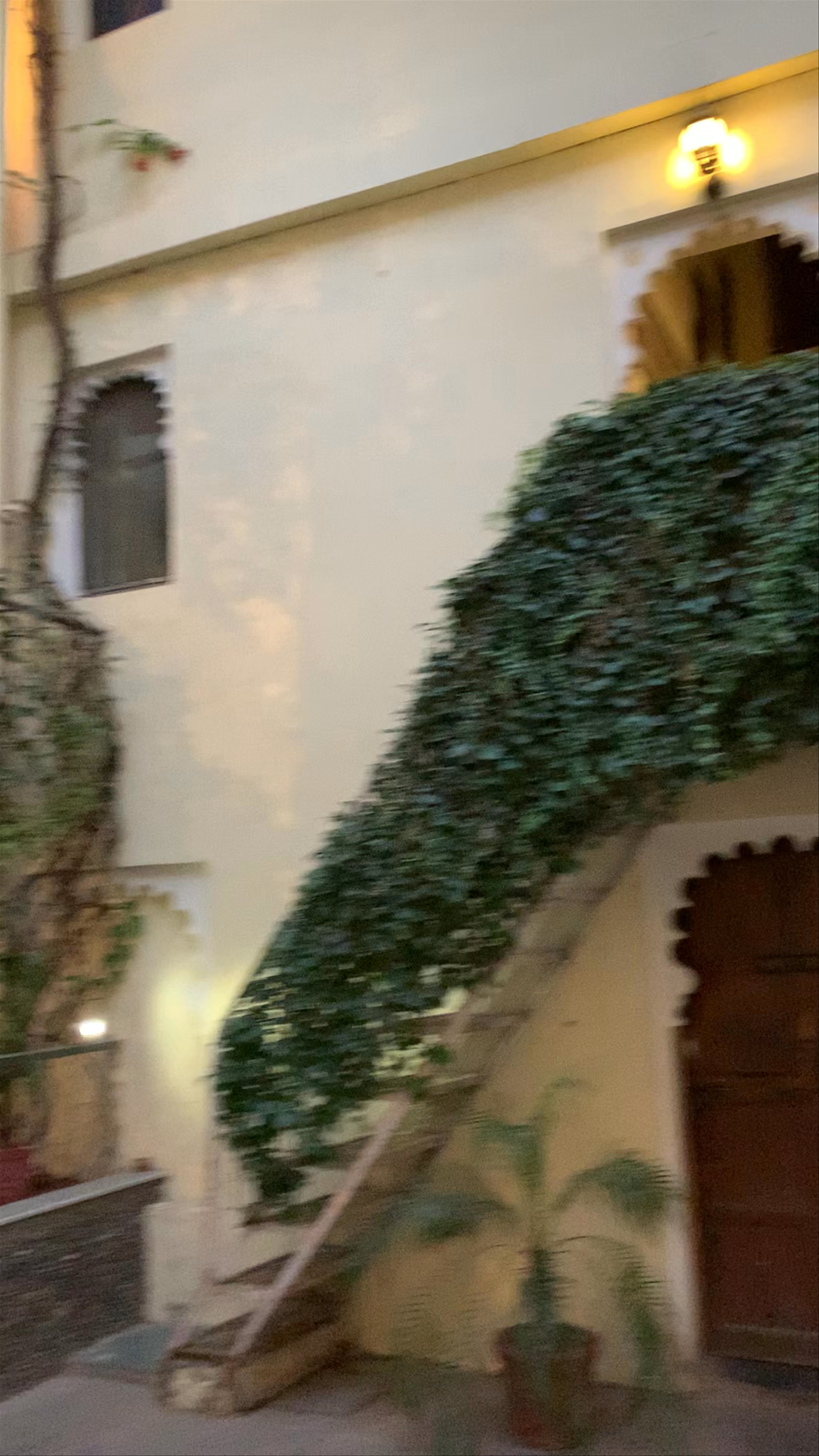 Lake Pichola Hotel