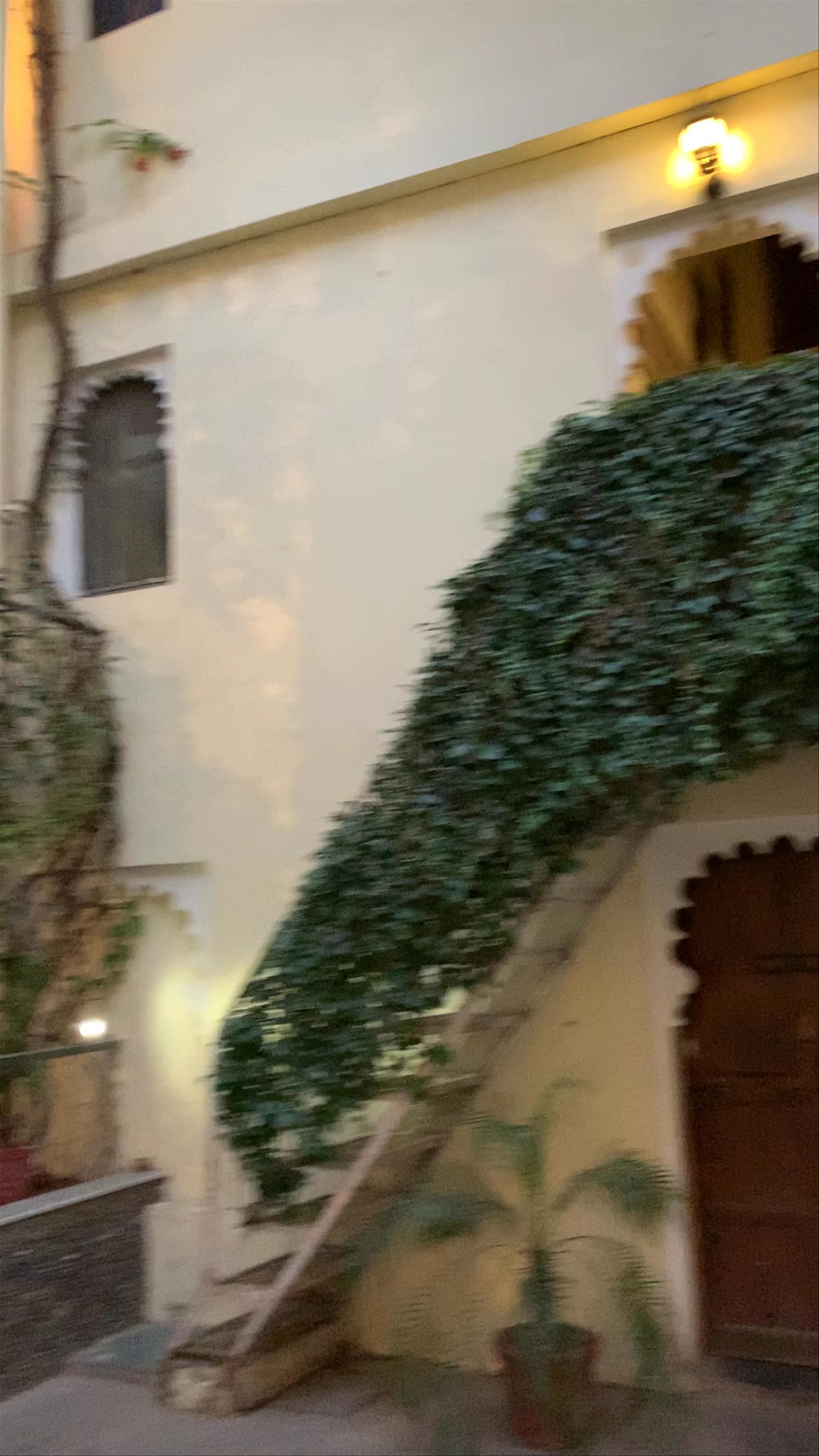 Lake Pichola Hotel