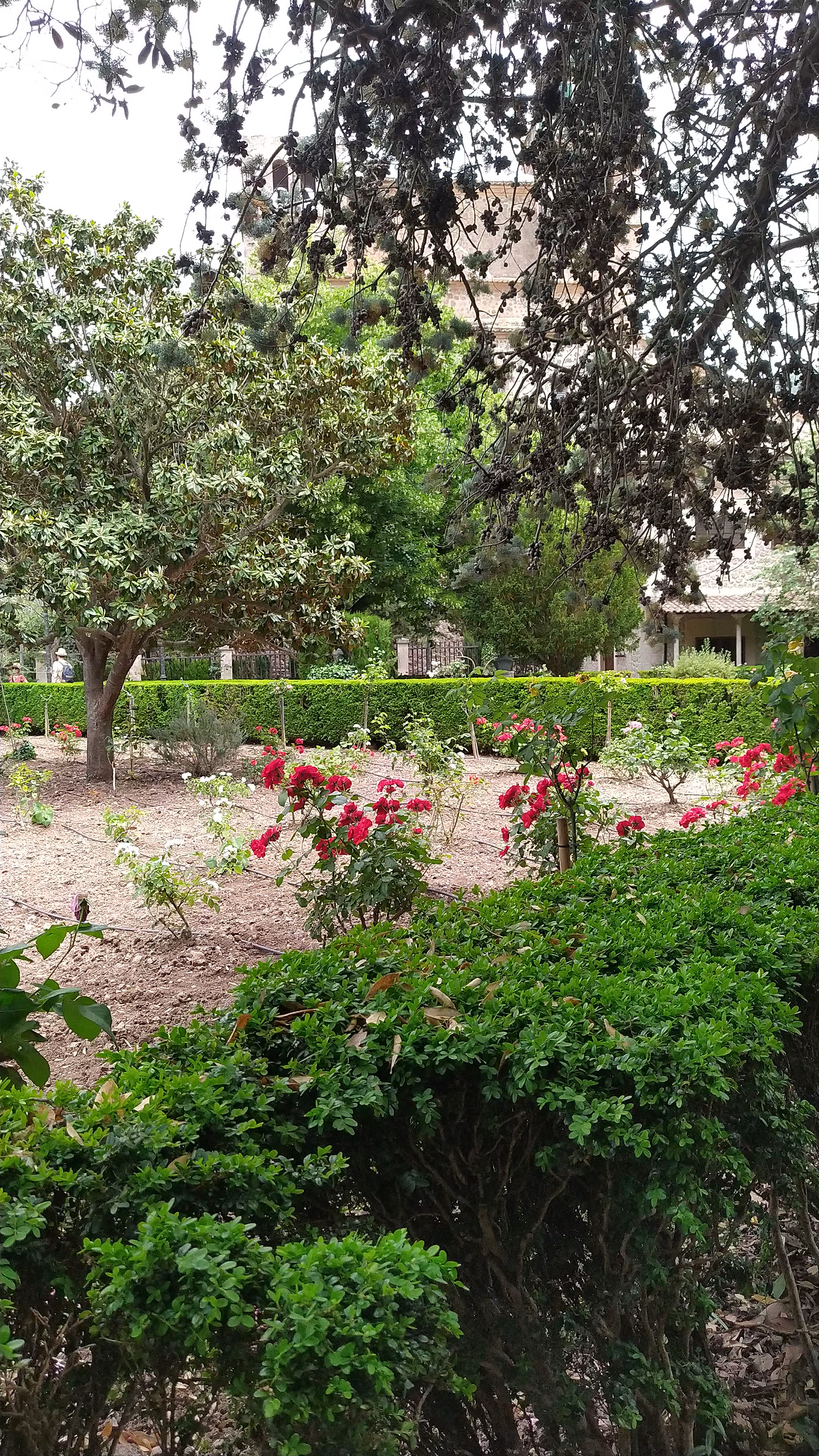 Jardins Rei Joan Carles