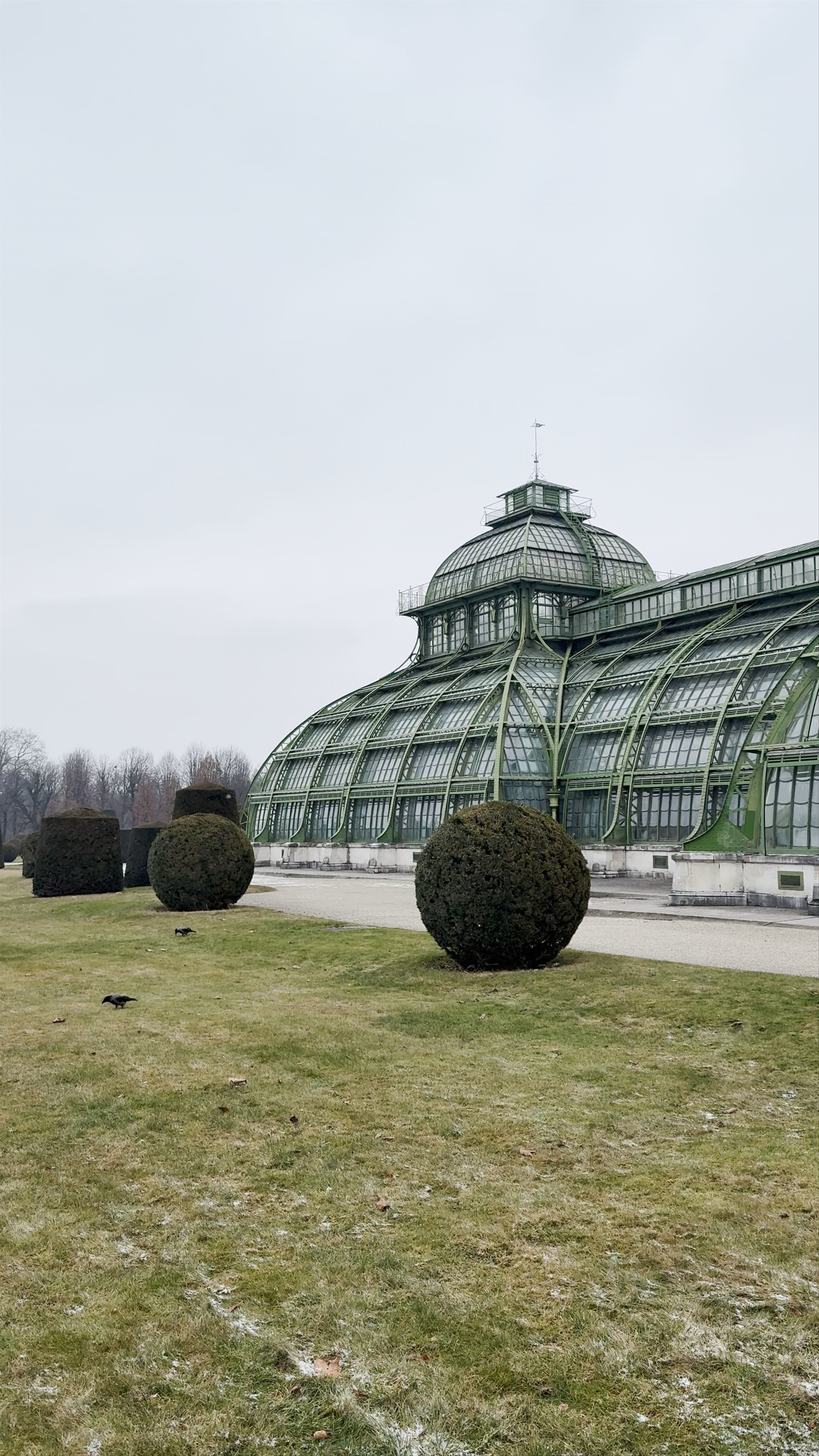 Palmenhaus