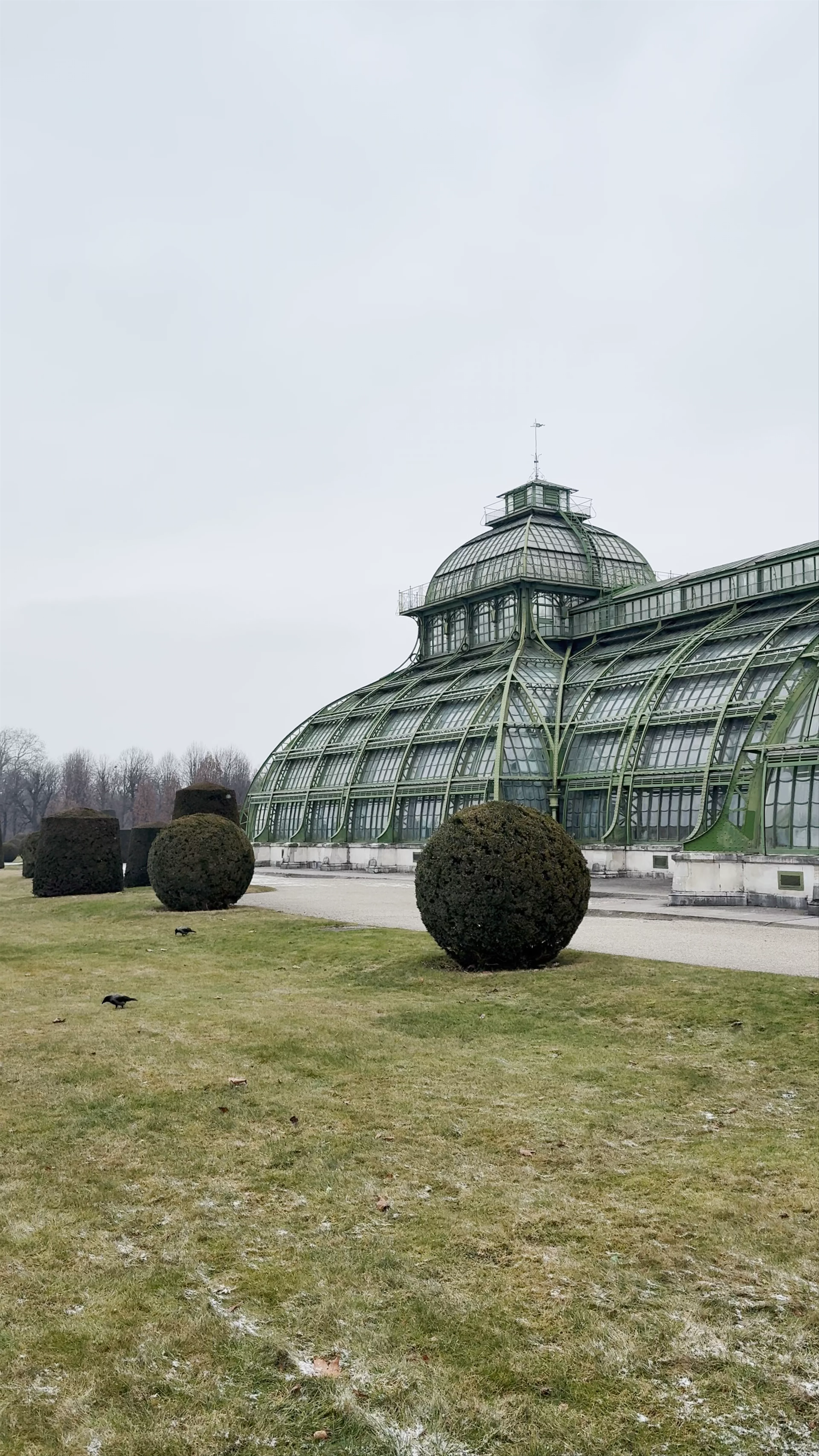 Palmenhaus, Schönbrunn Palace Park