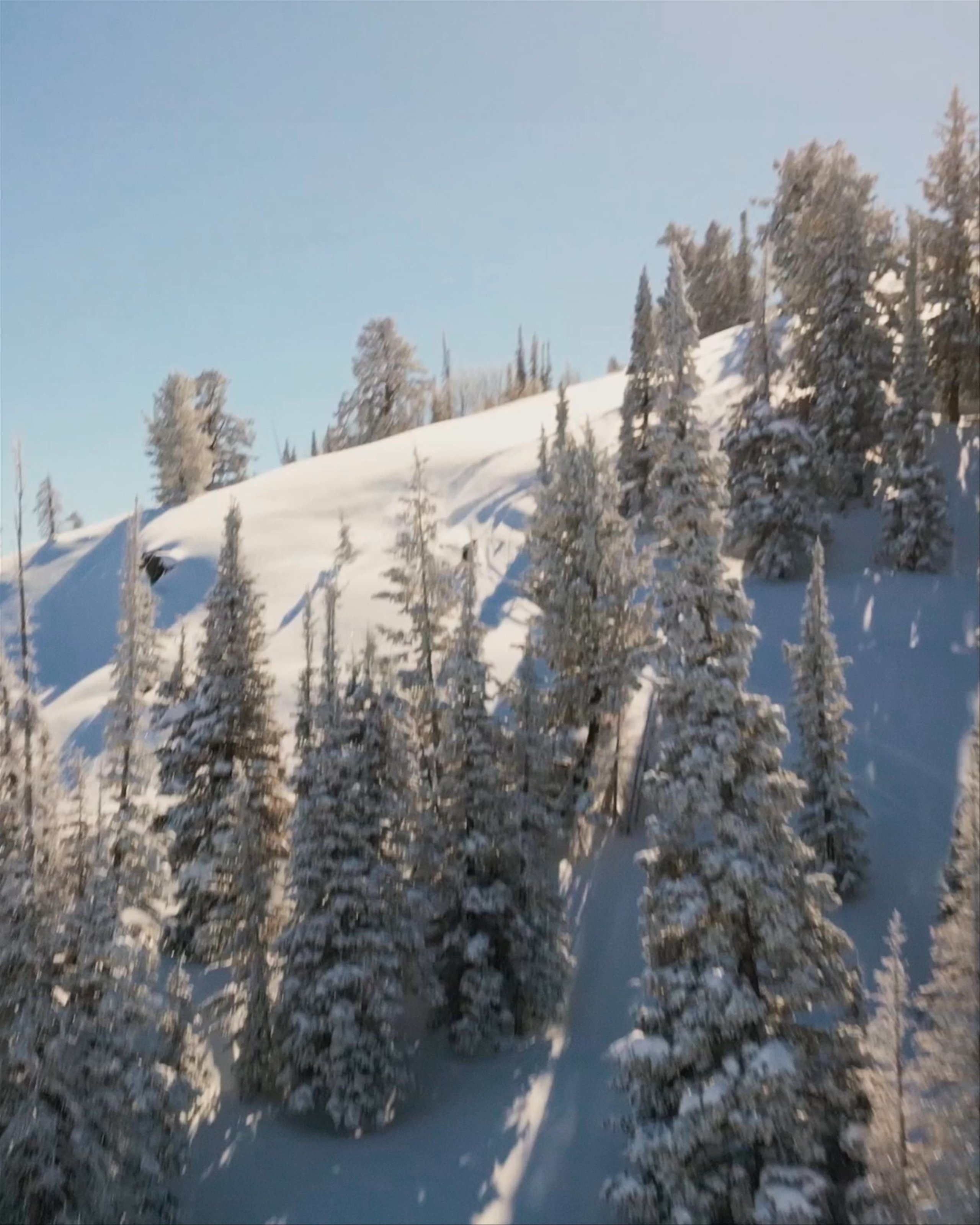 Aerial video of skier going down Powder Mountain run in Utah