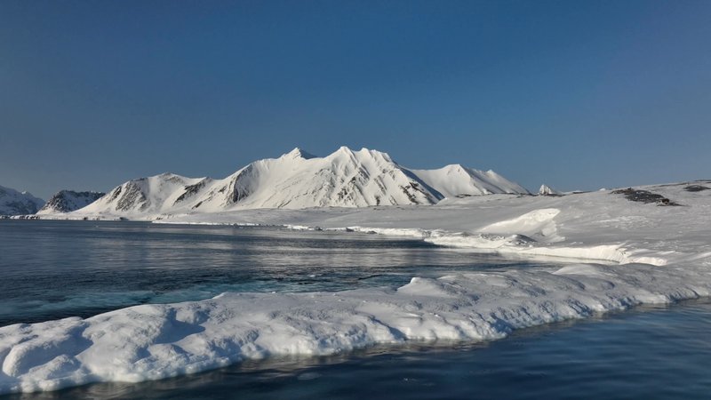 Arctic Drone poster