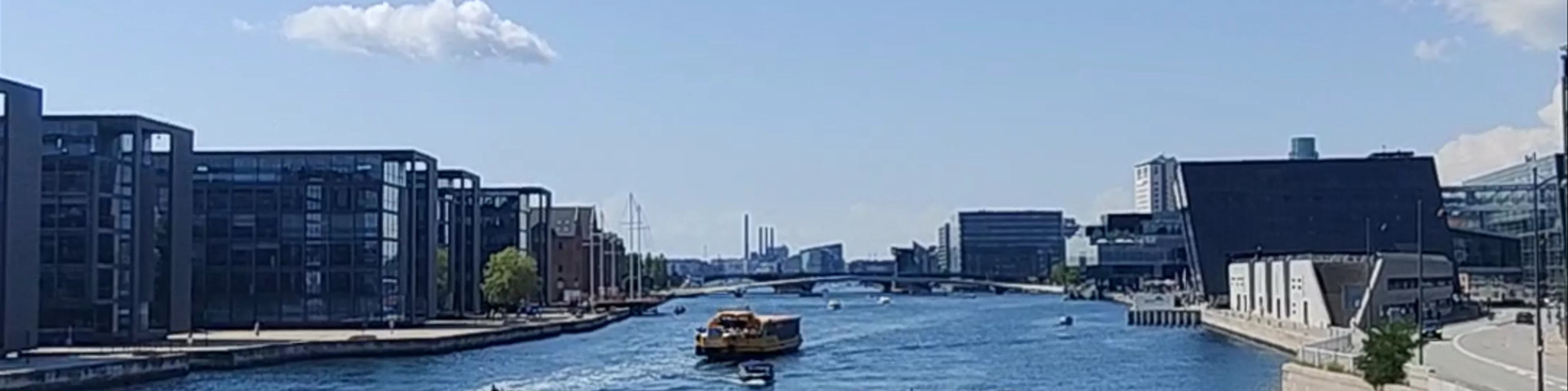 Knippelsbro