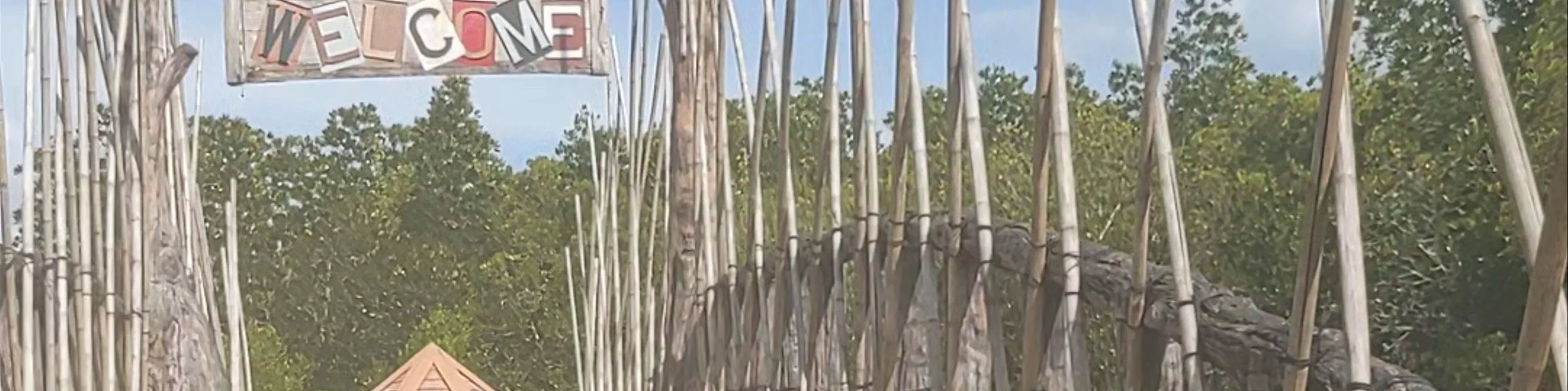 Tung Yee Peng Pier (Mangrove tour - Eco tourism)