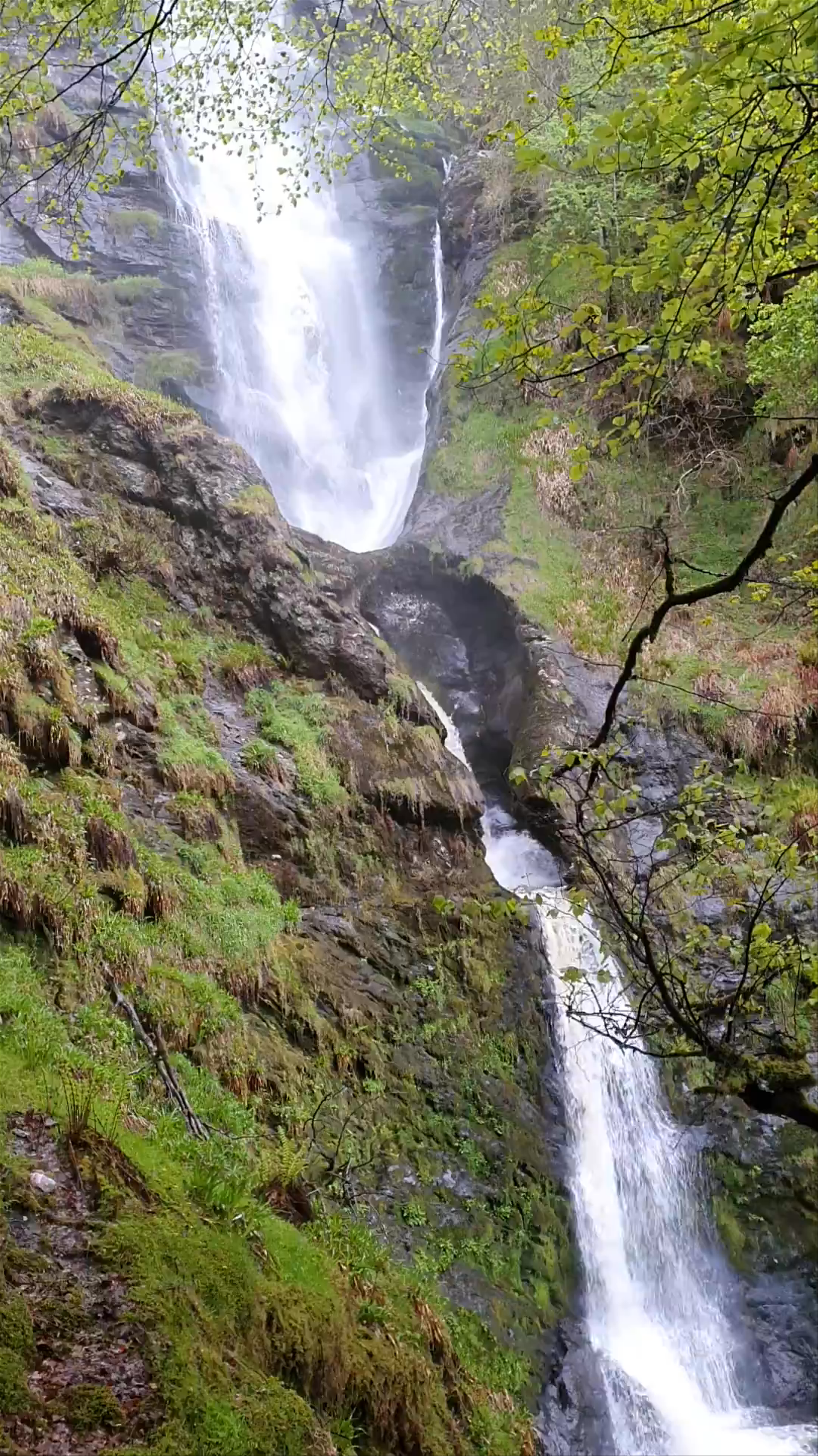 Pistyll Rhaeadr(Waterfall)