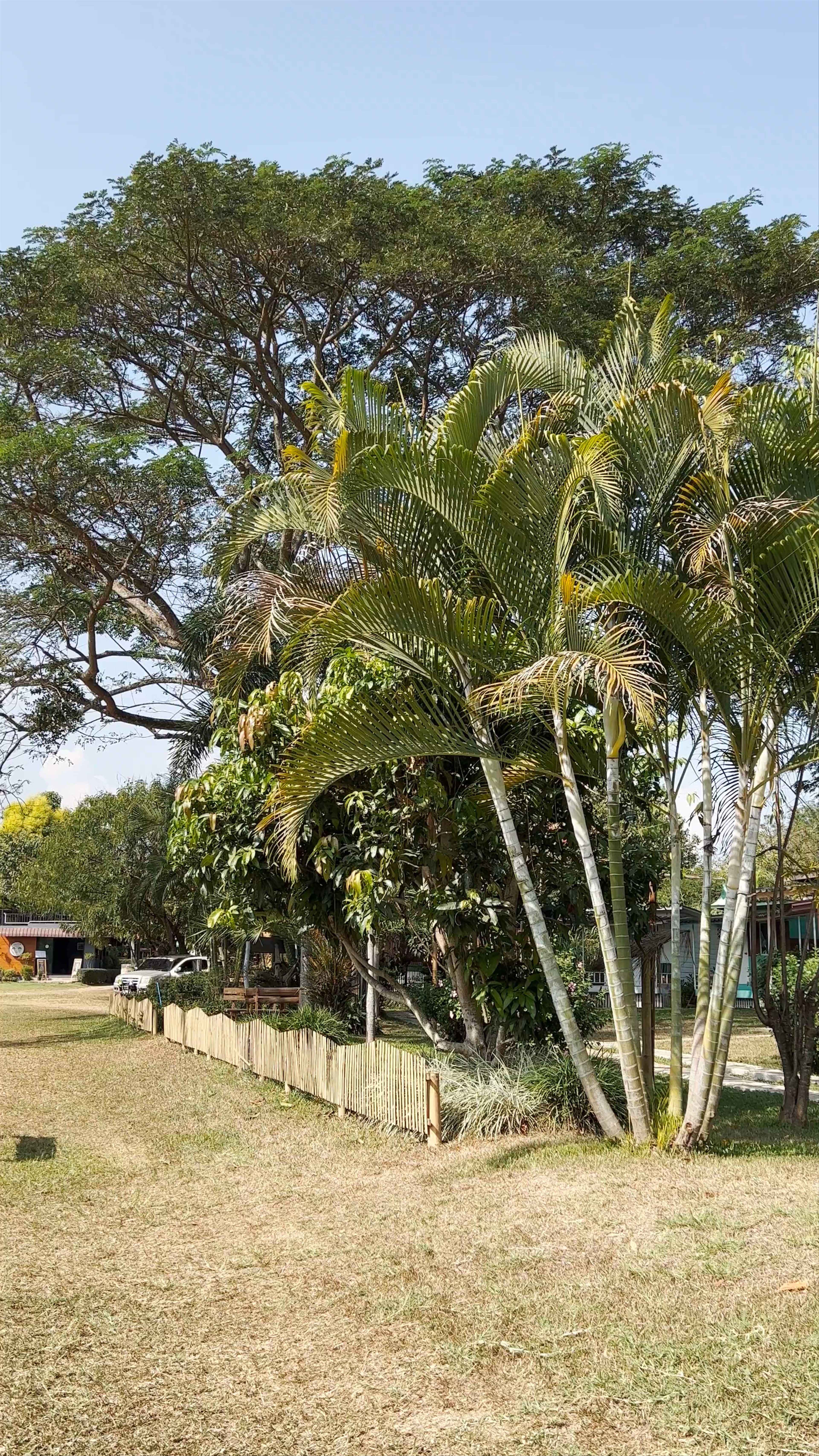 Ban Pai Riverside