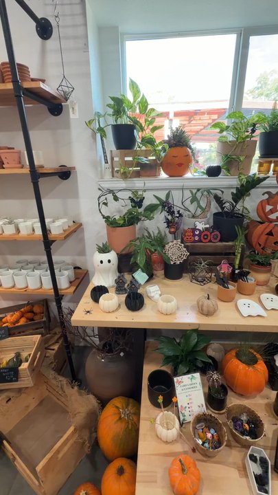 Mari's Gardens - Marketplace - Nurseries & Gardening Near Me - Mililani, Hawaii