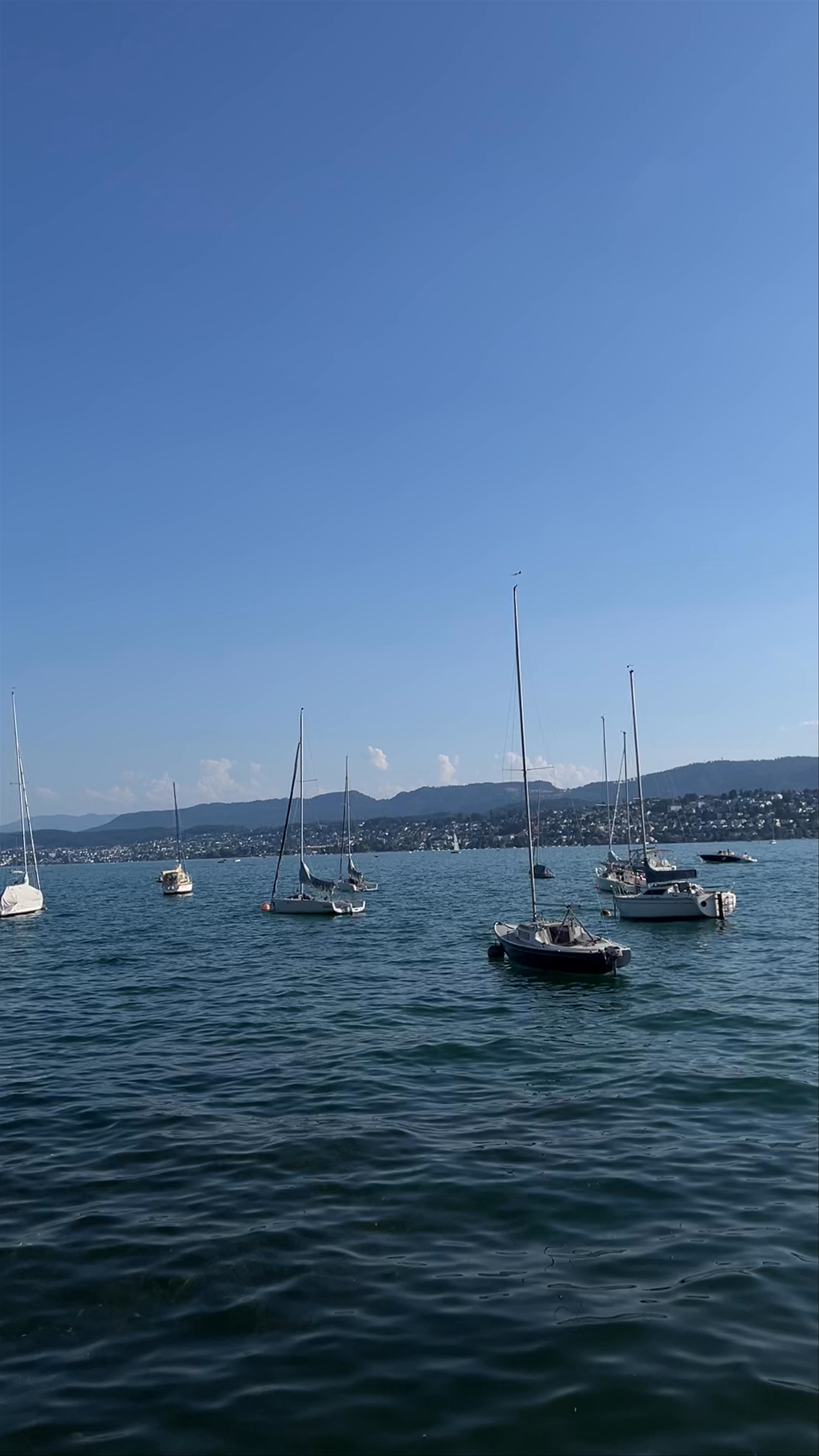 Serene Sailing and Water Views on Lake Zurich