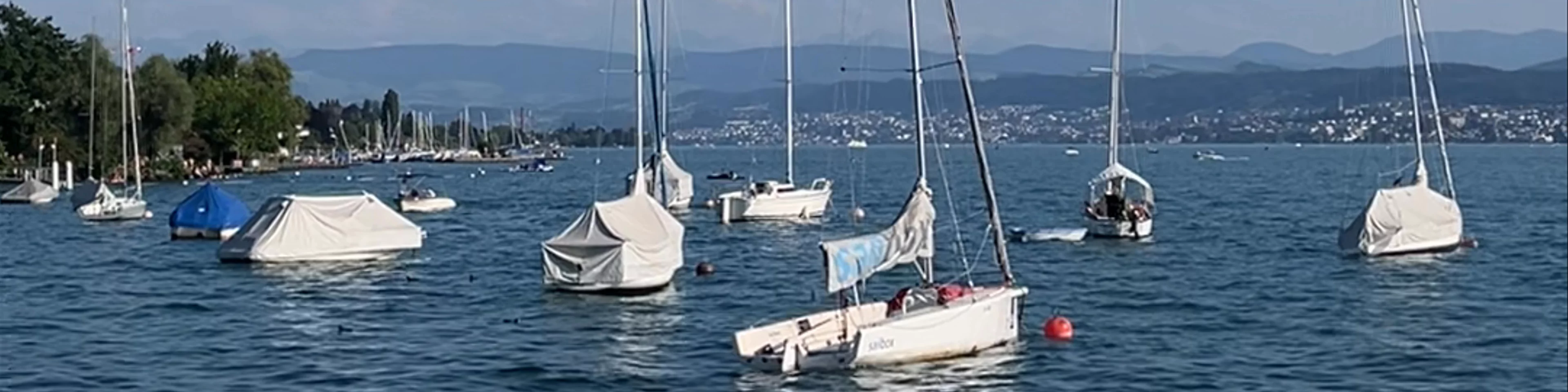 Lake Zurich