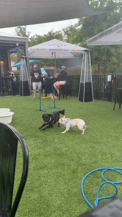 Barkhaven - Dog Parks Near Me - Orlando, Florida