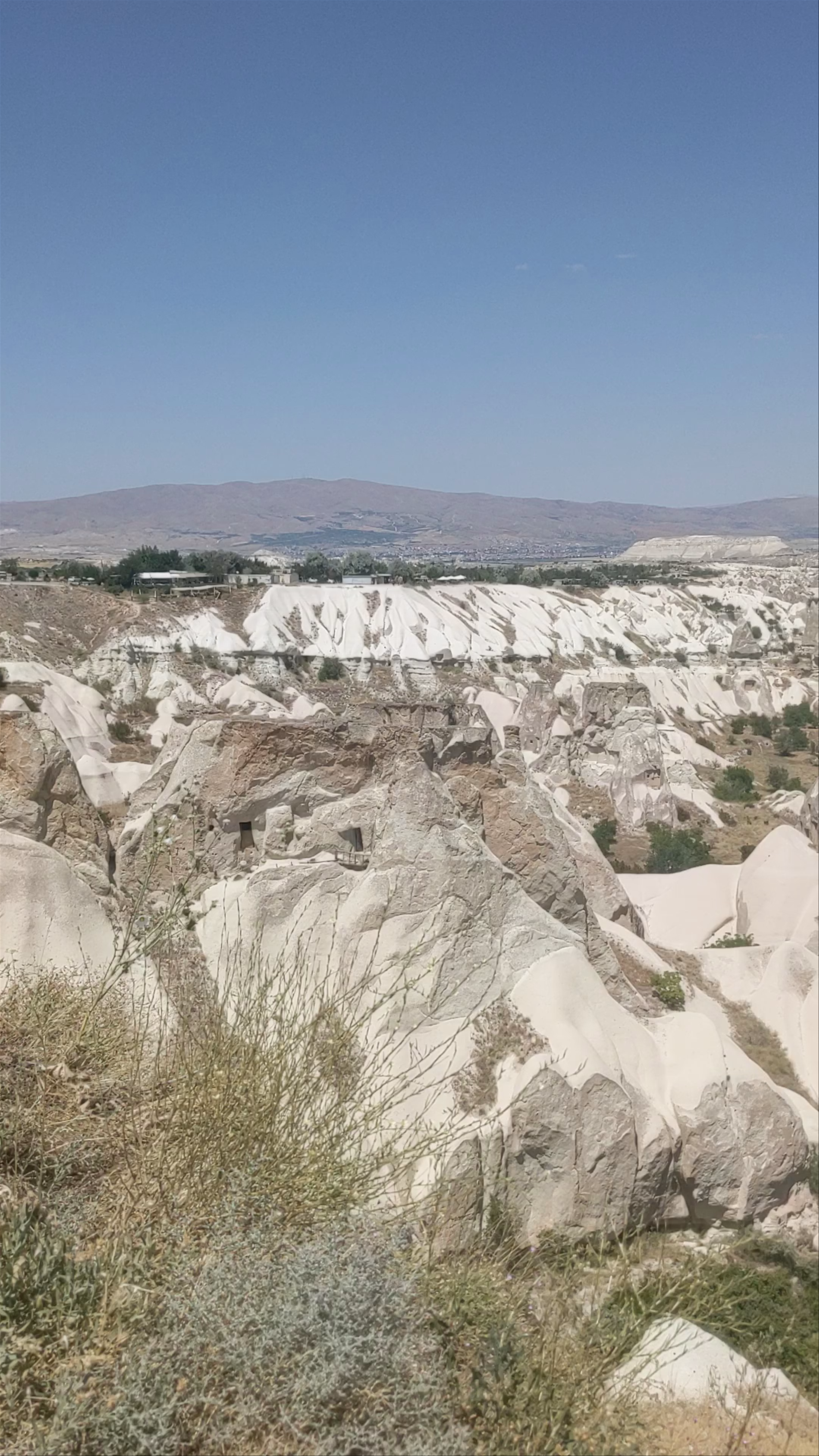 Tekelli